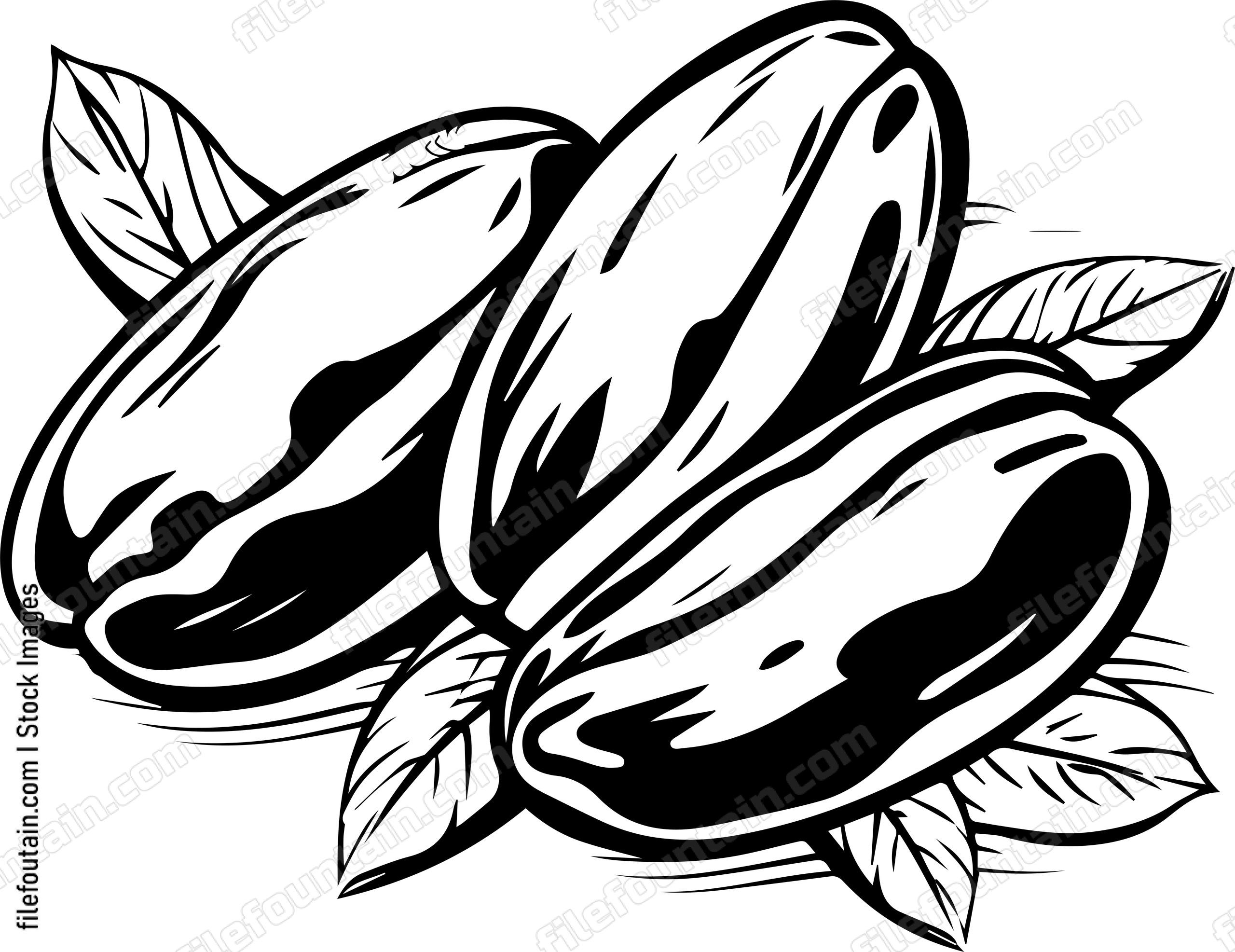 Cocoa Beans