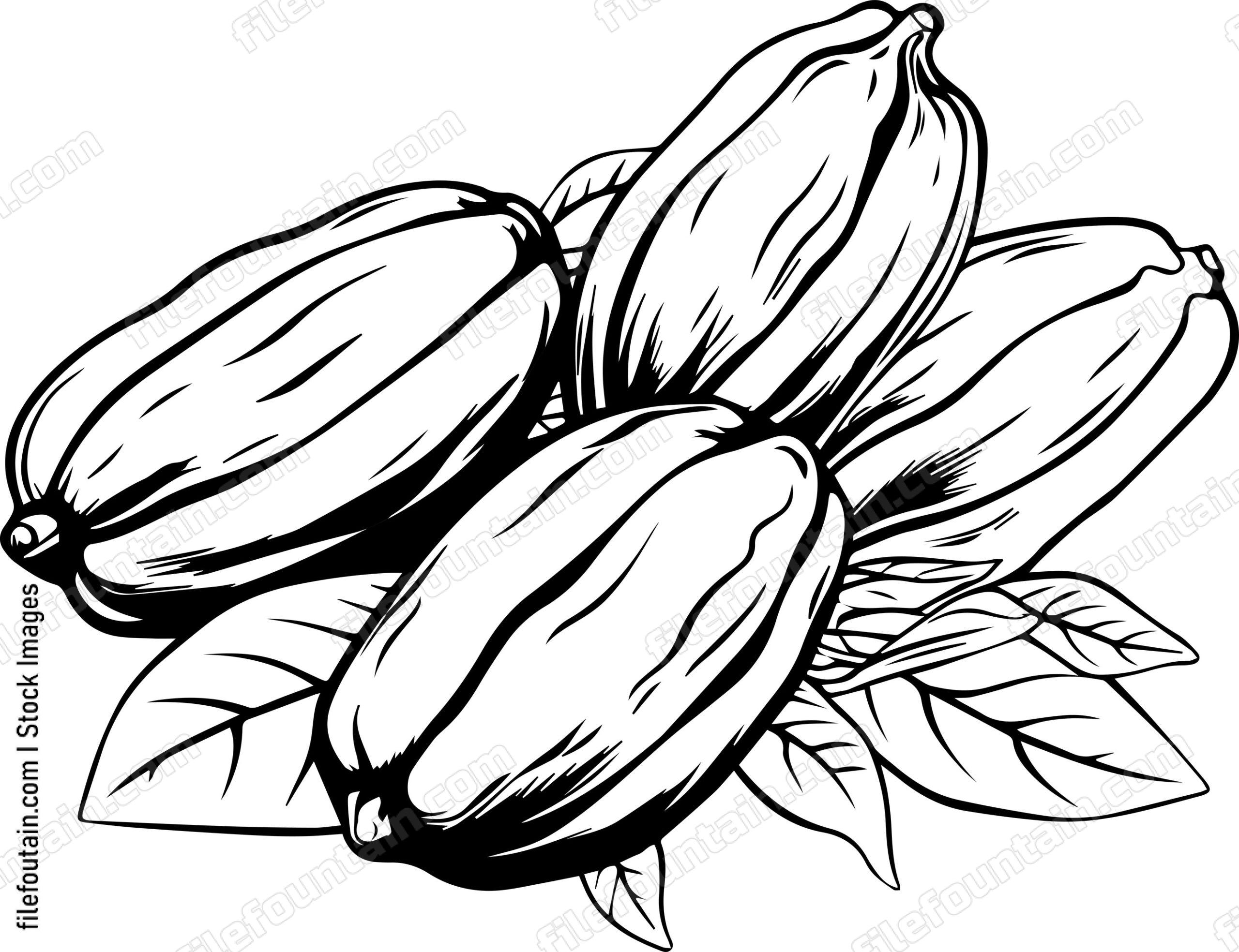 Cocoa Beans