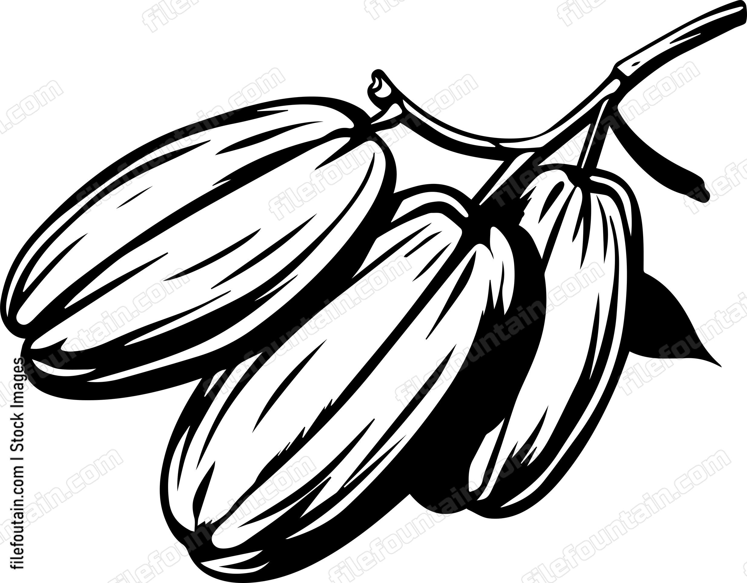Cocoa Beans