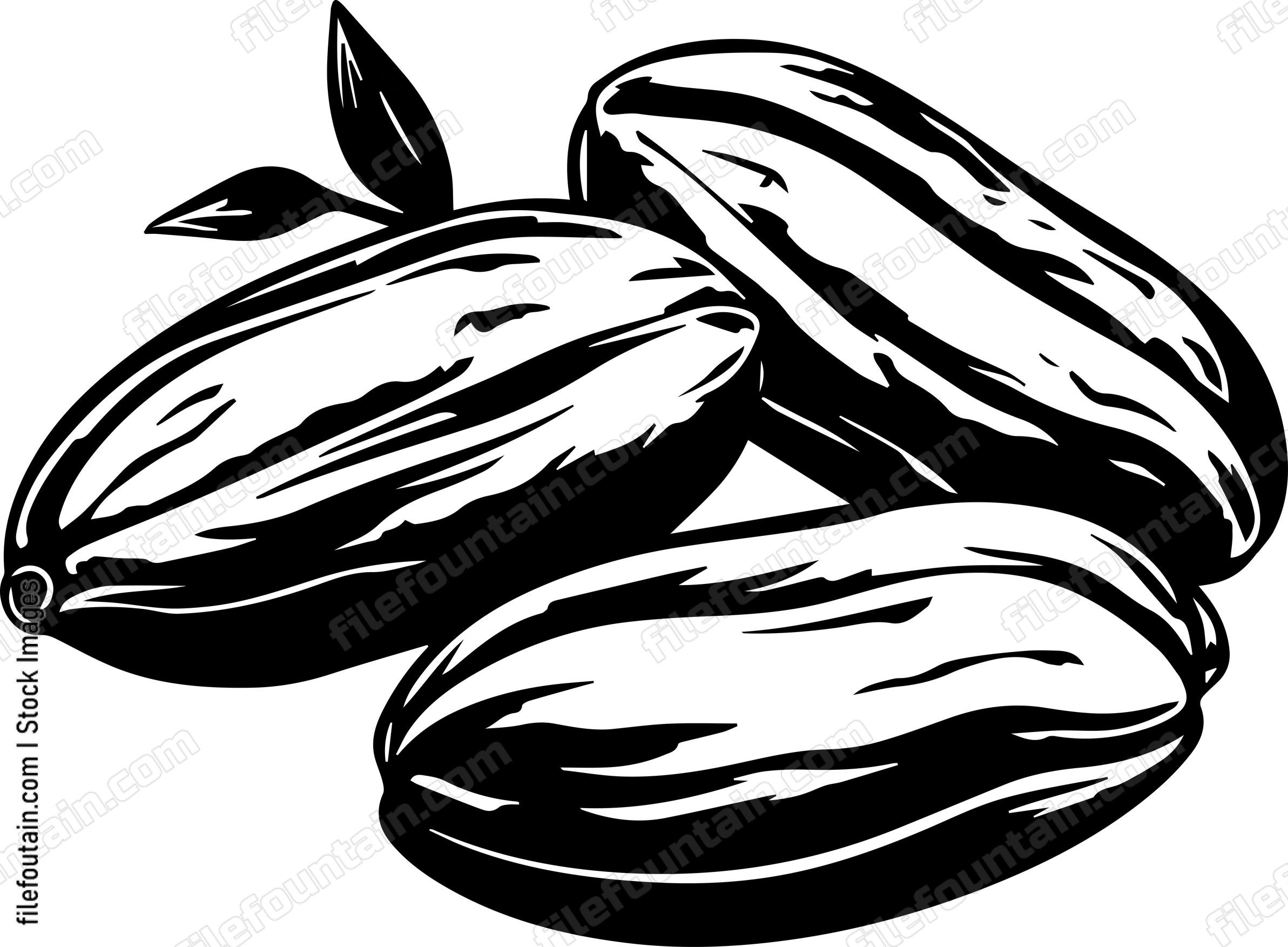 Cocoa Beans