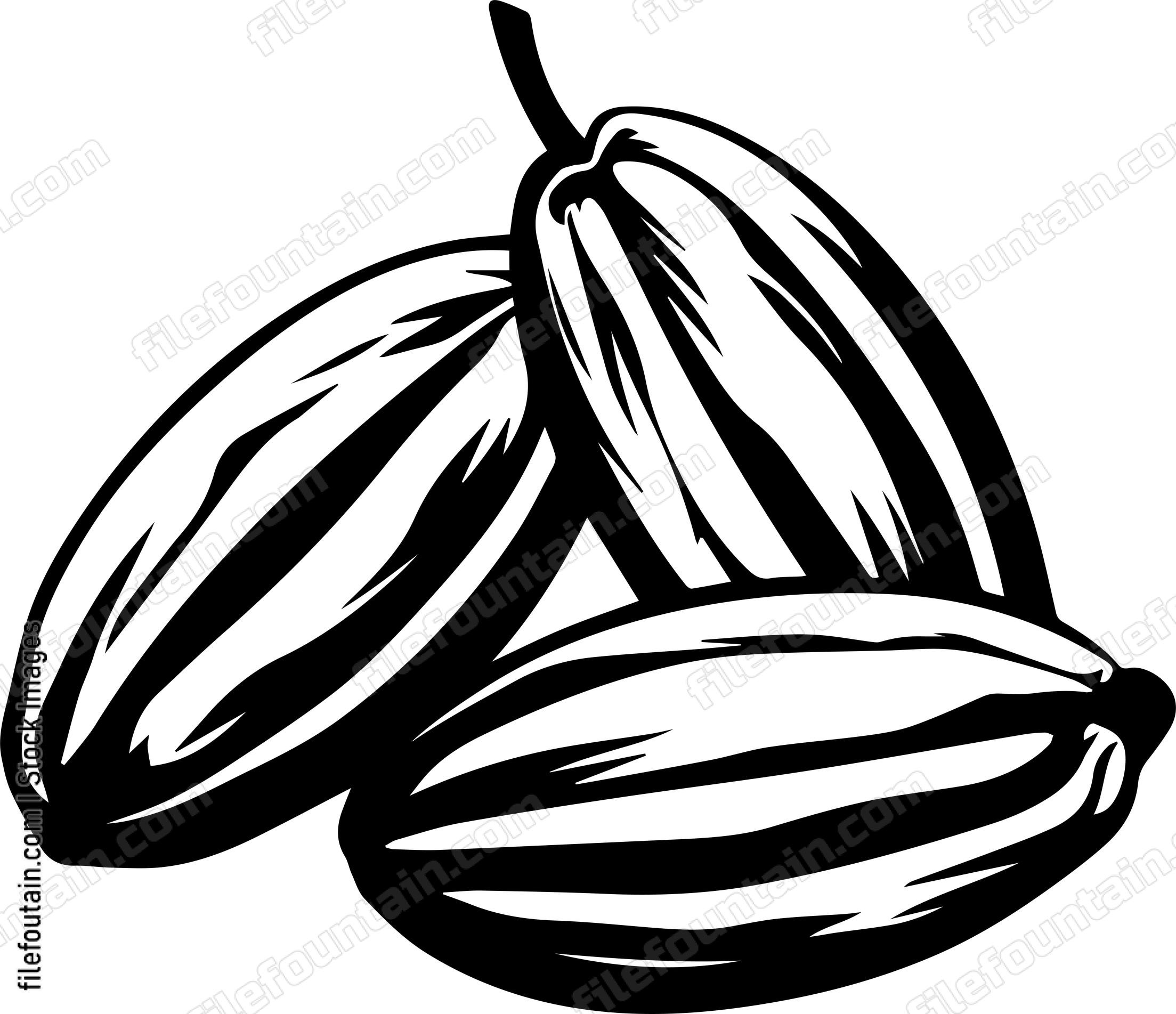 Cocoa Beans