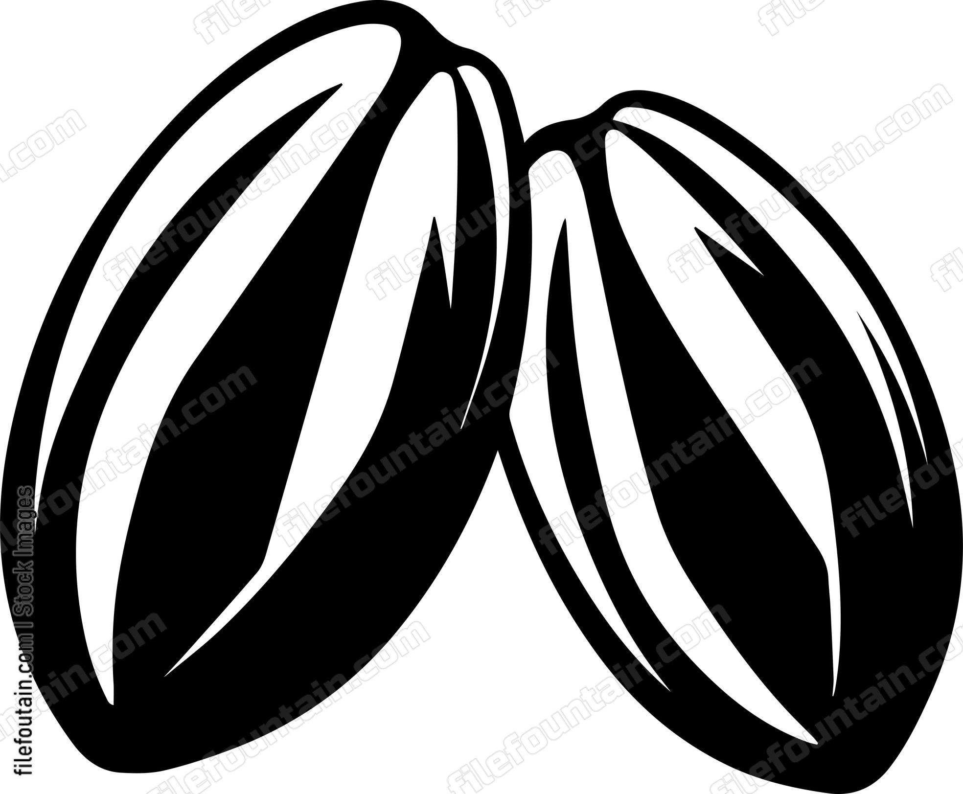Cocoa Beans