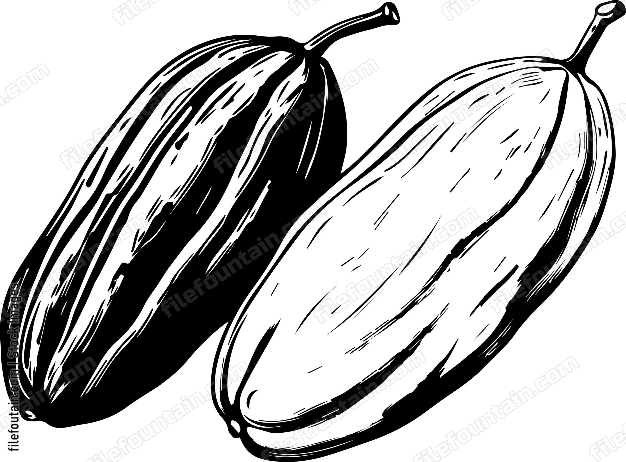 Cocoa Beans