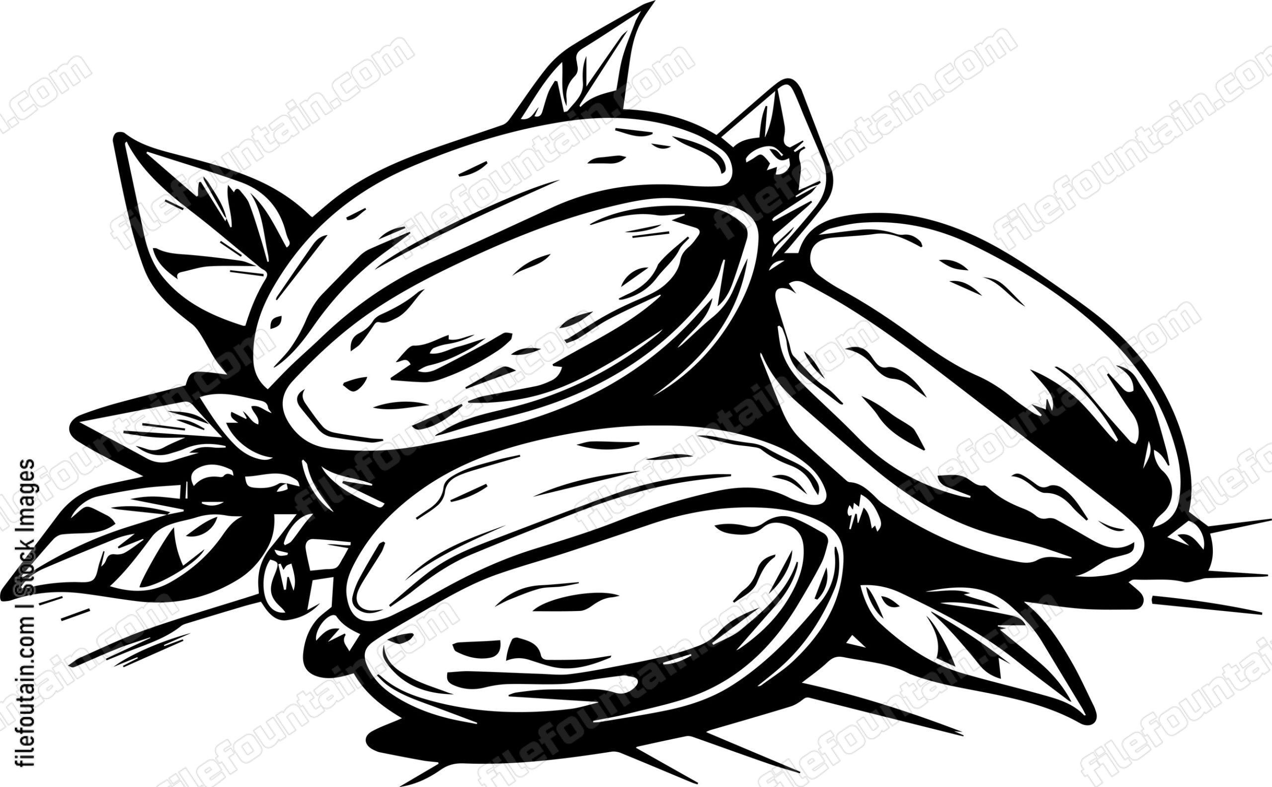 Cocoa Beans
