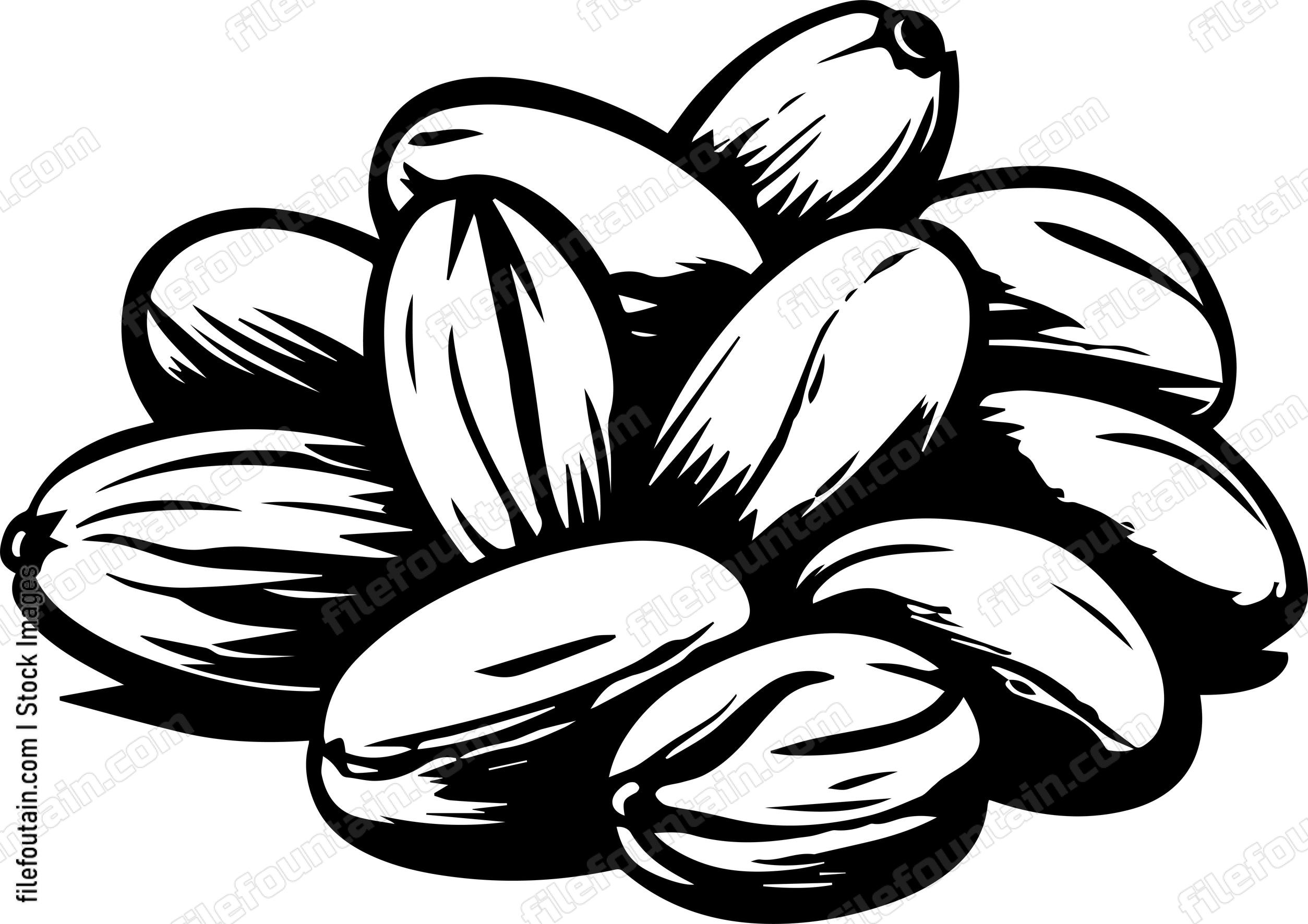 Cocoa Beans