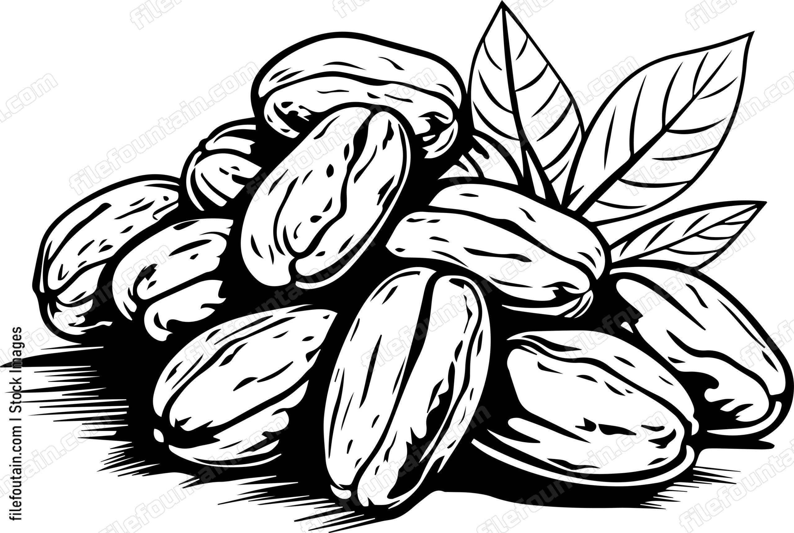 Cocoa Beans