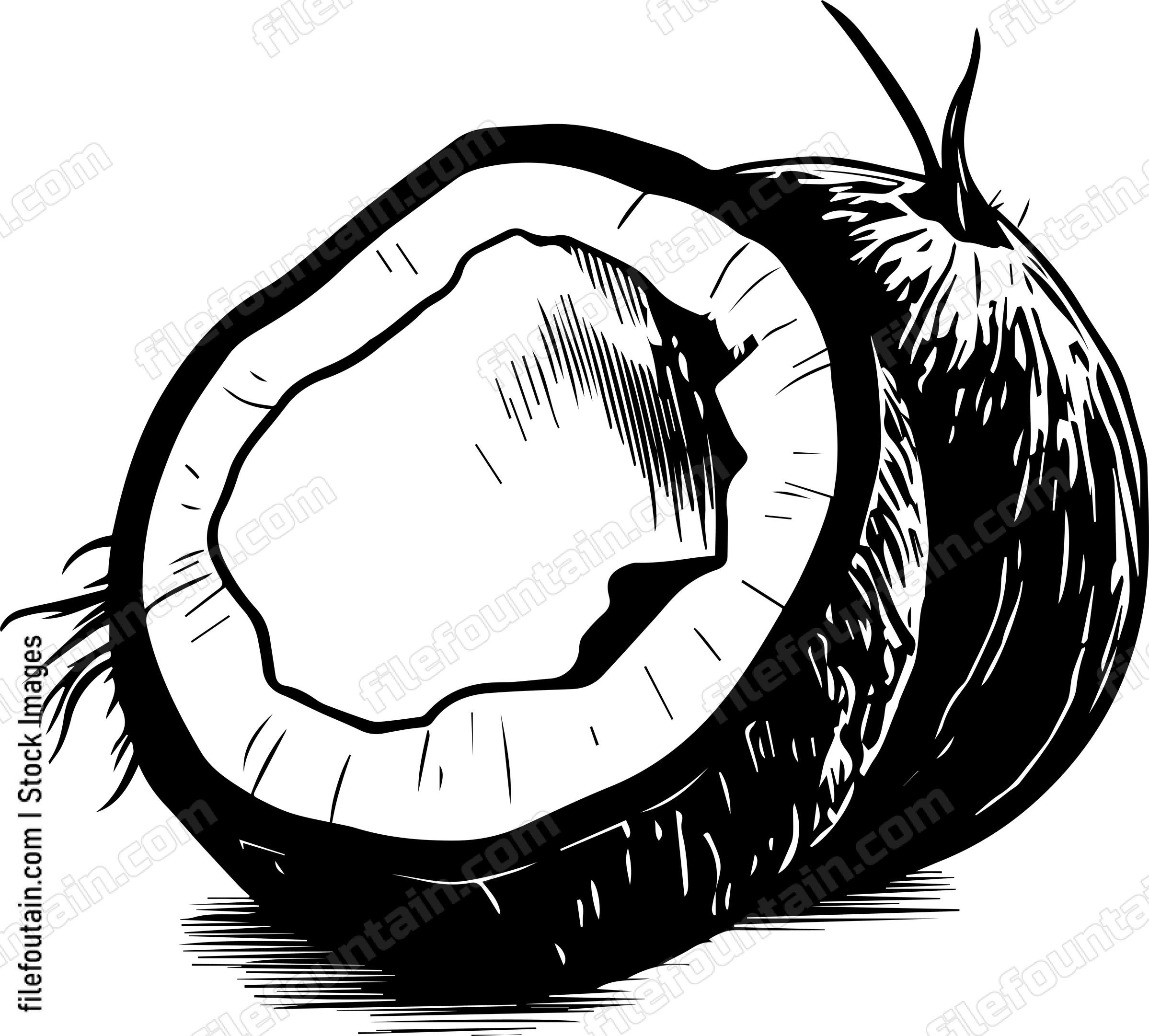 Coconut