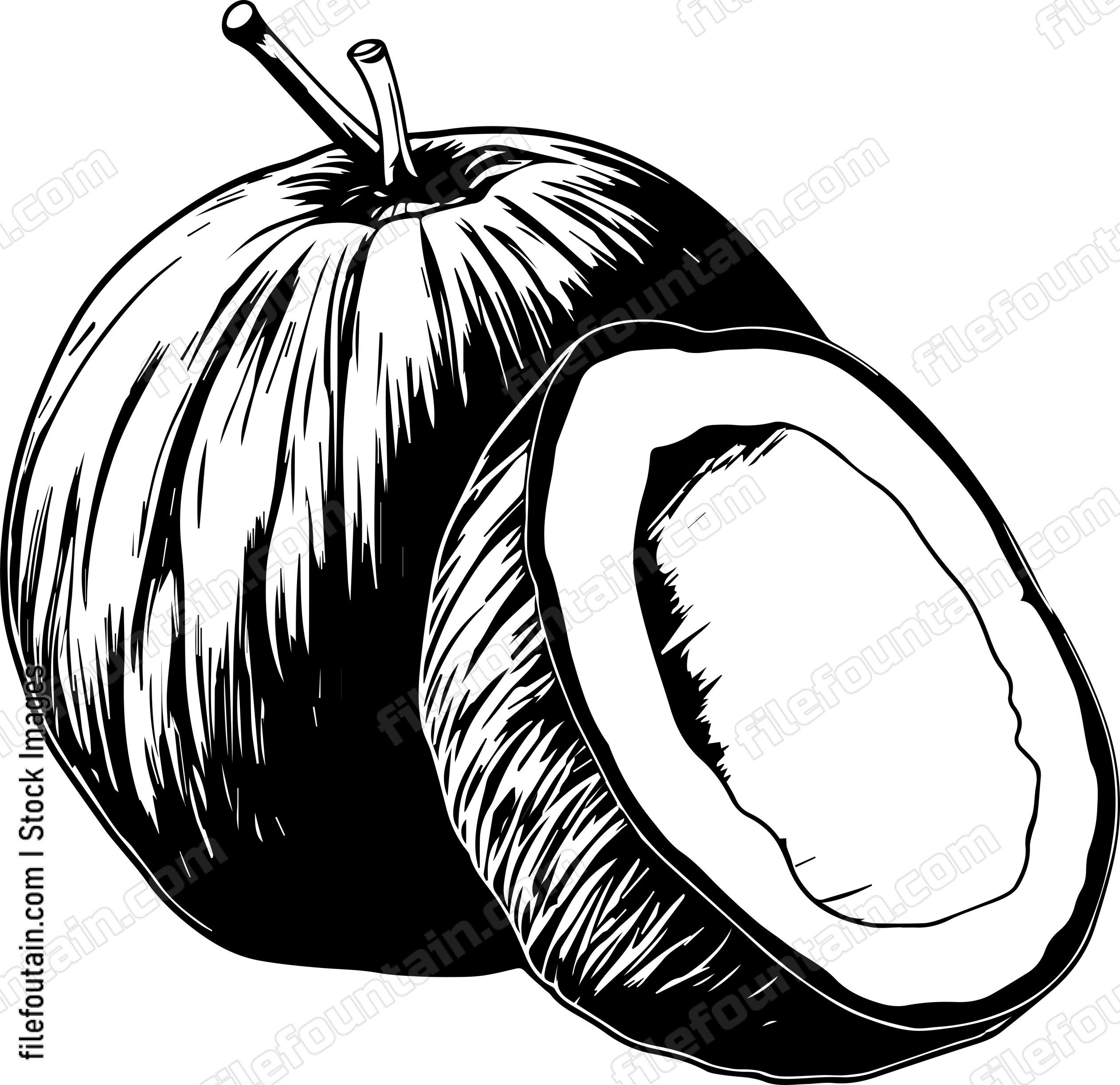 Coconut