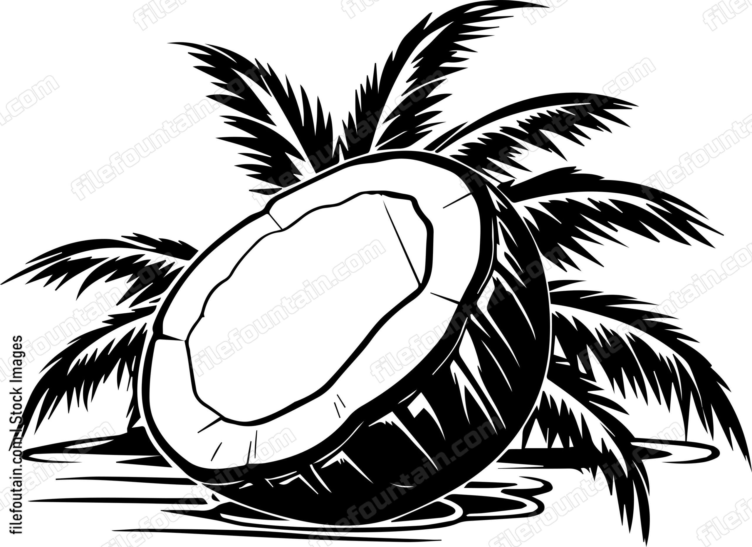 Coconut
