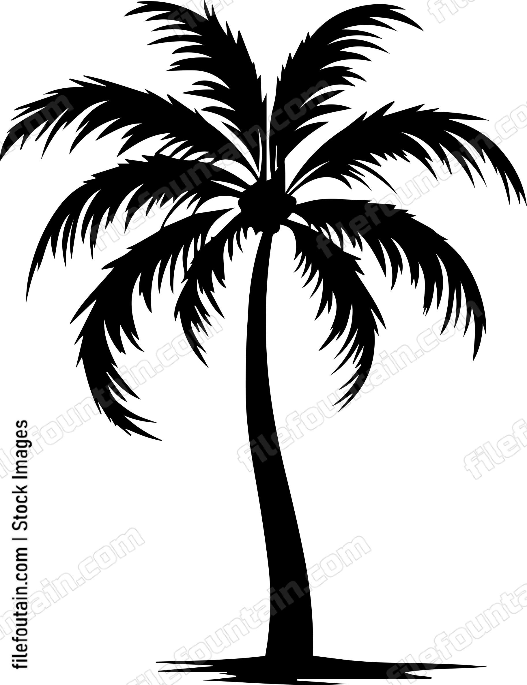 Coconut Tree