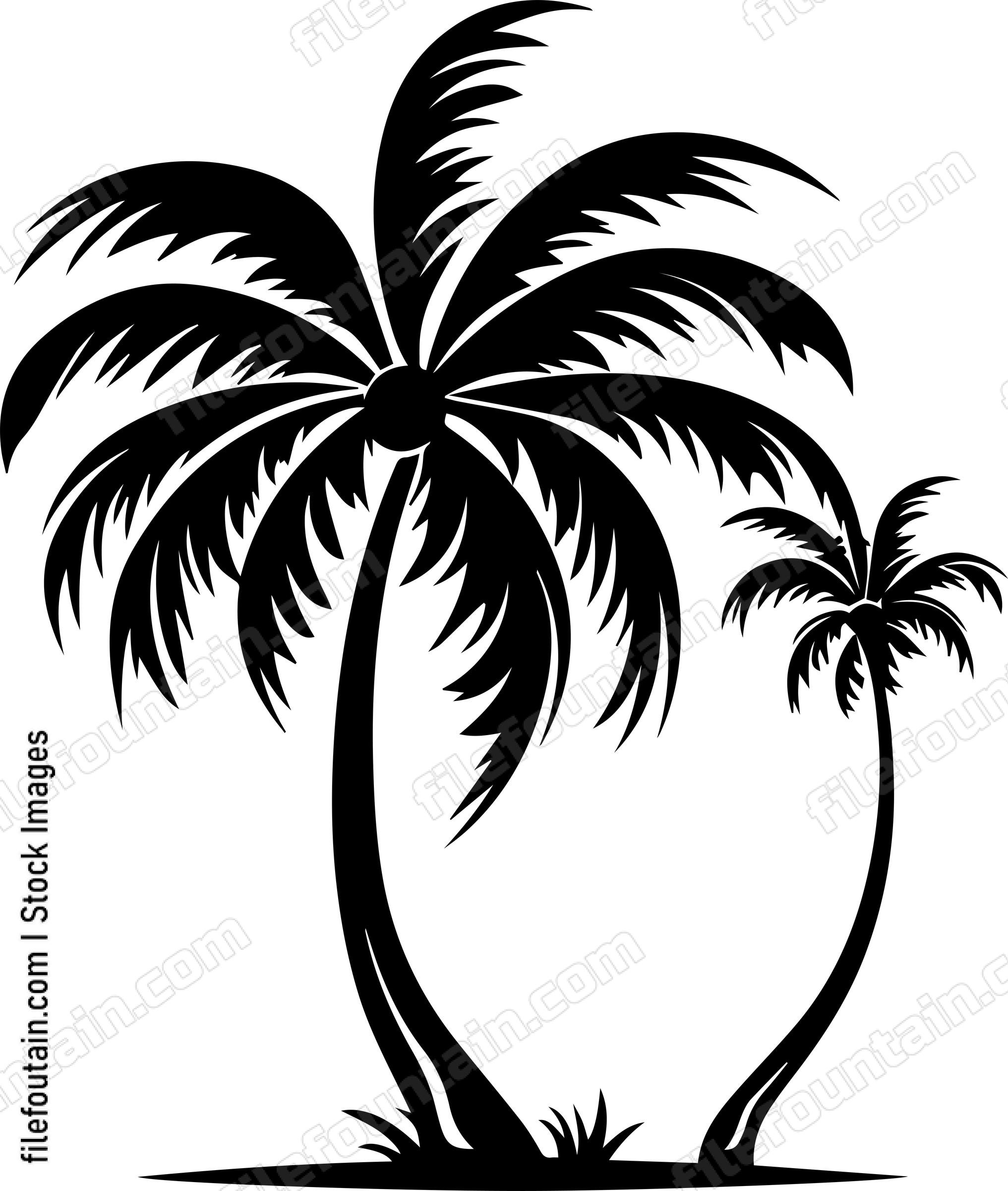 Coconut Tree