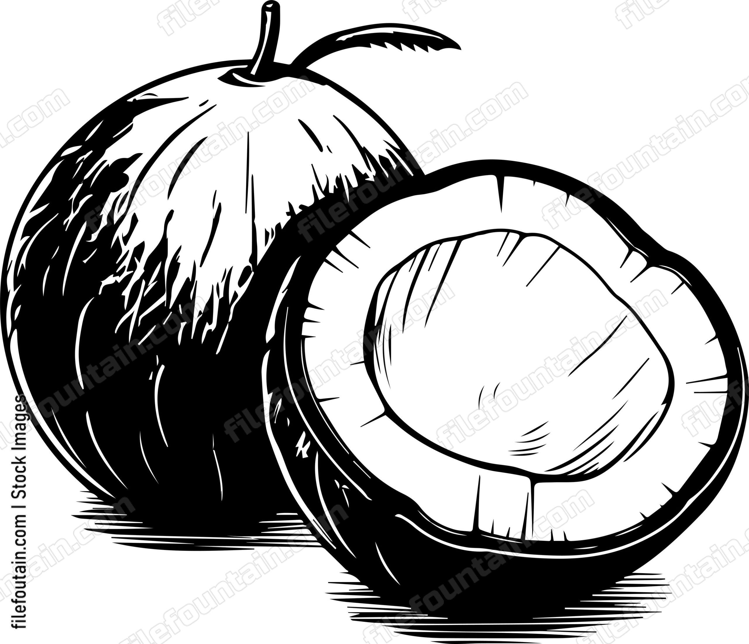 Coconut