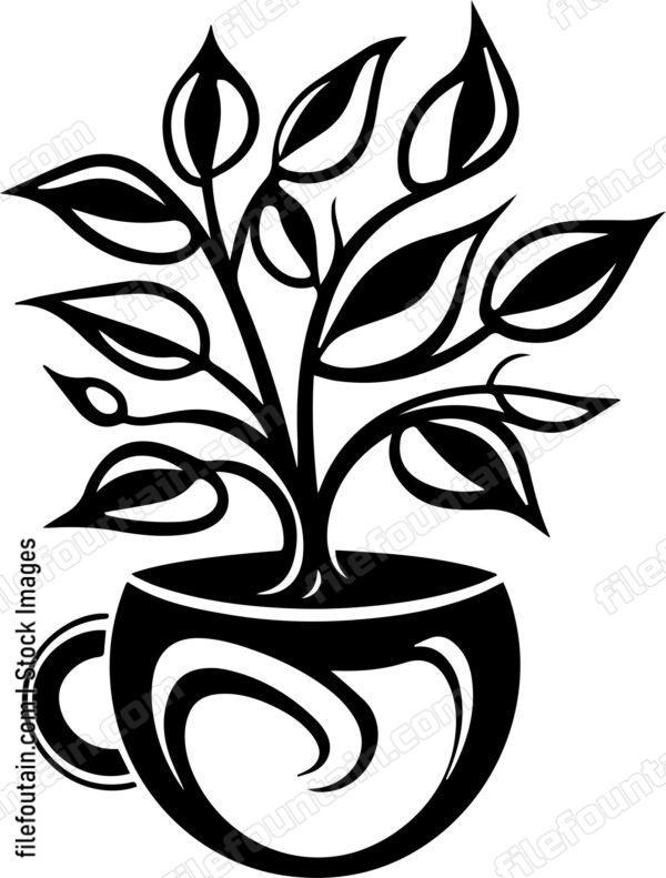 Coffee Tree In A Cup