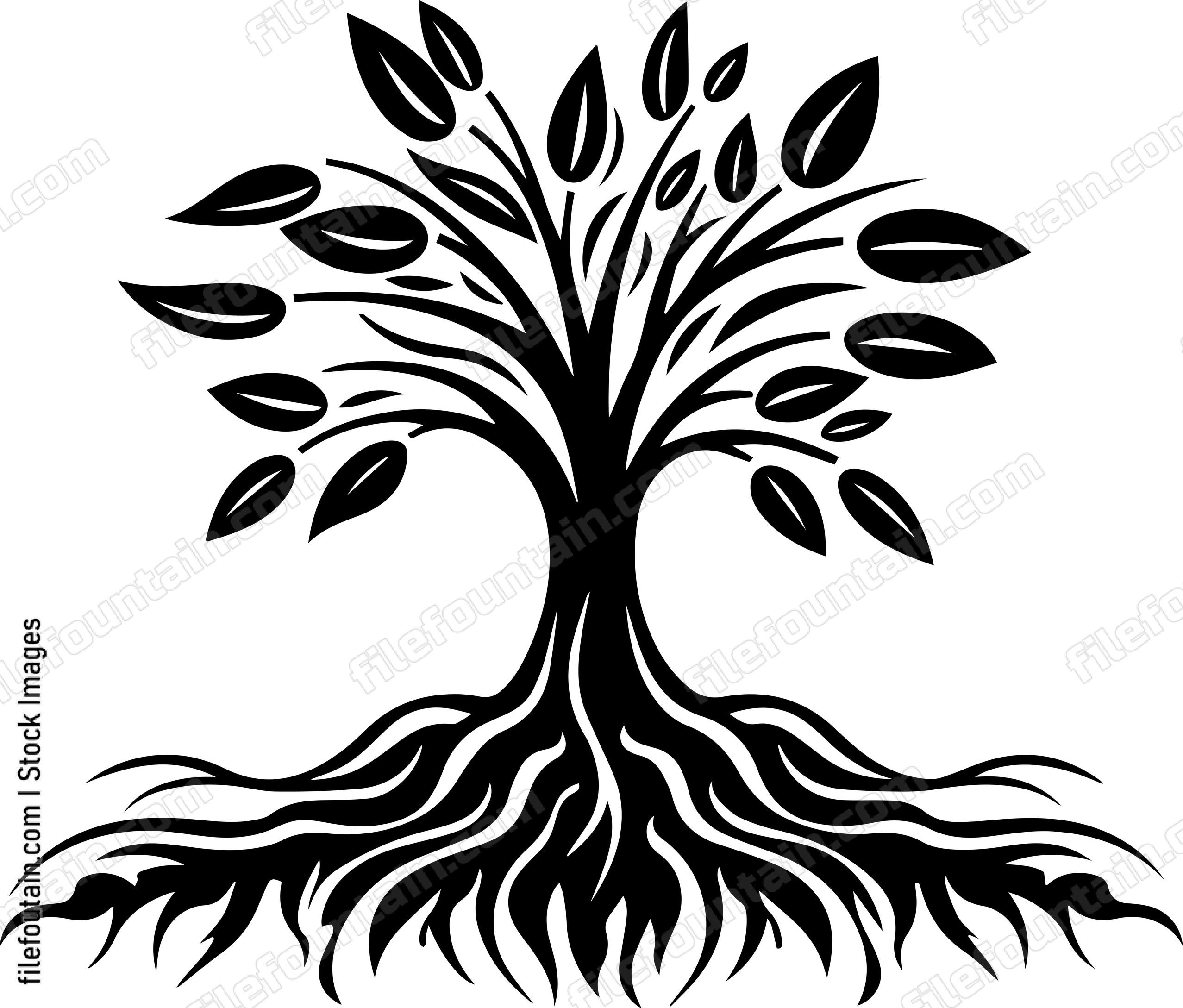 Coffee Tree Roots