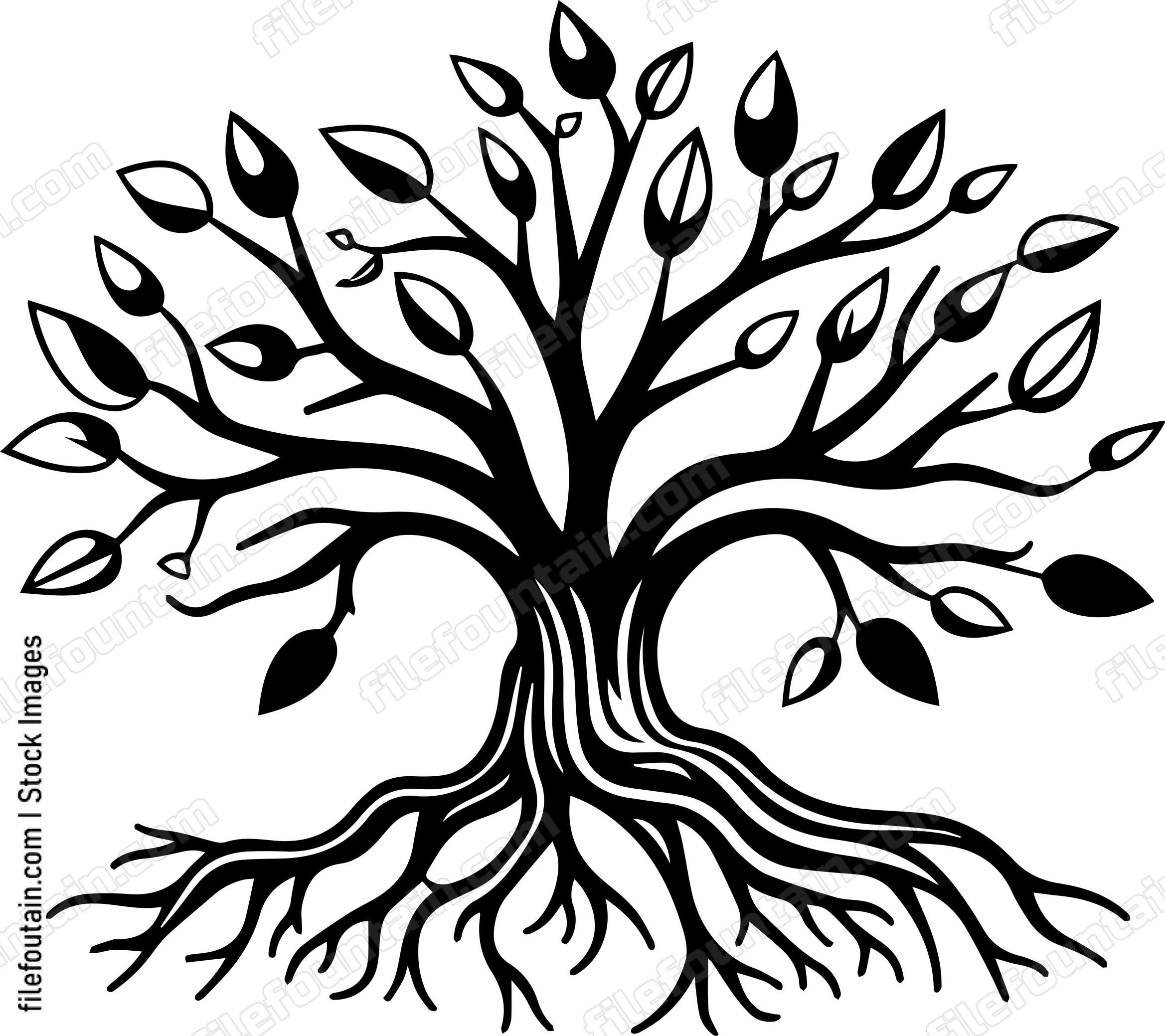 Coffee Tree Roots