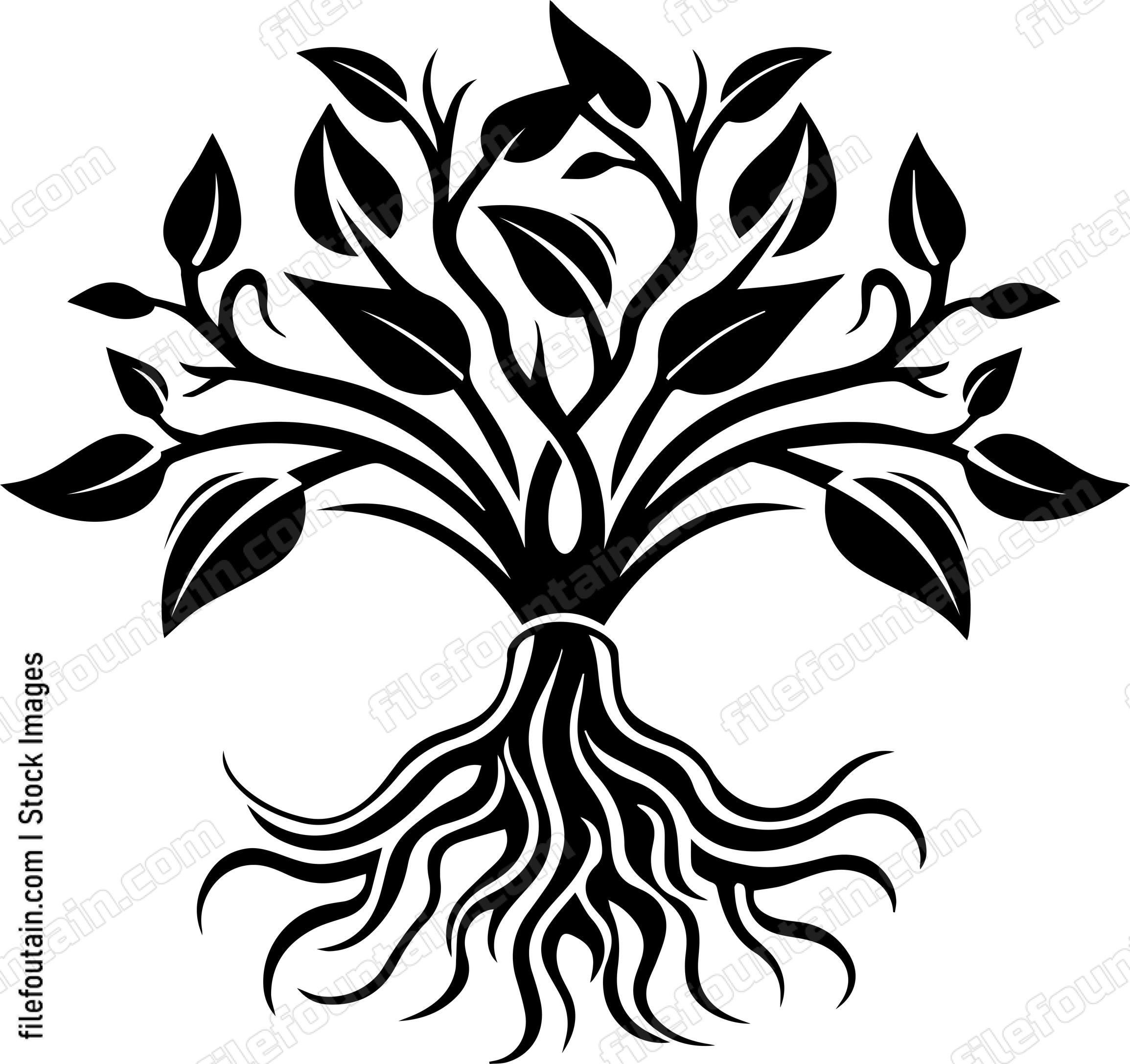 Coffee Tree Roots