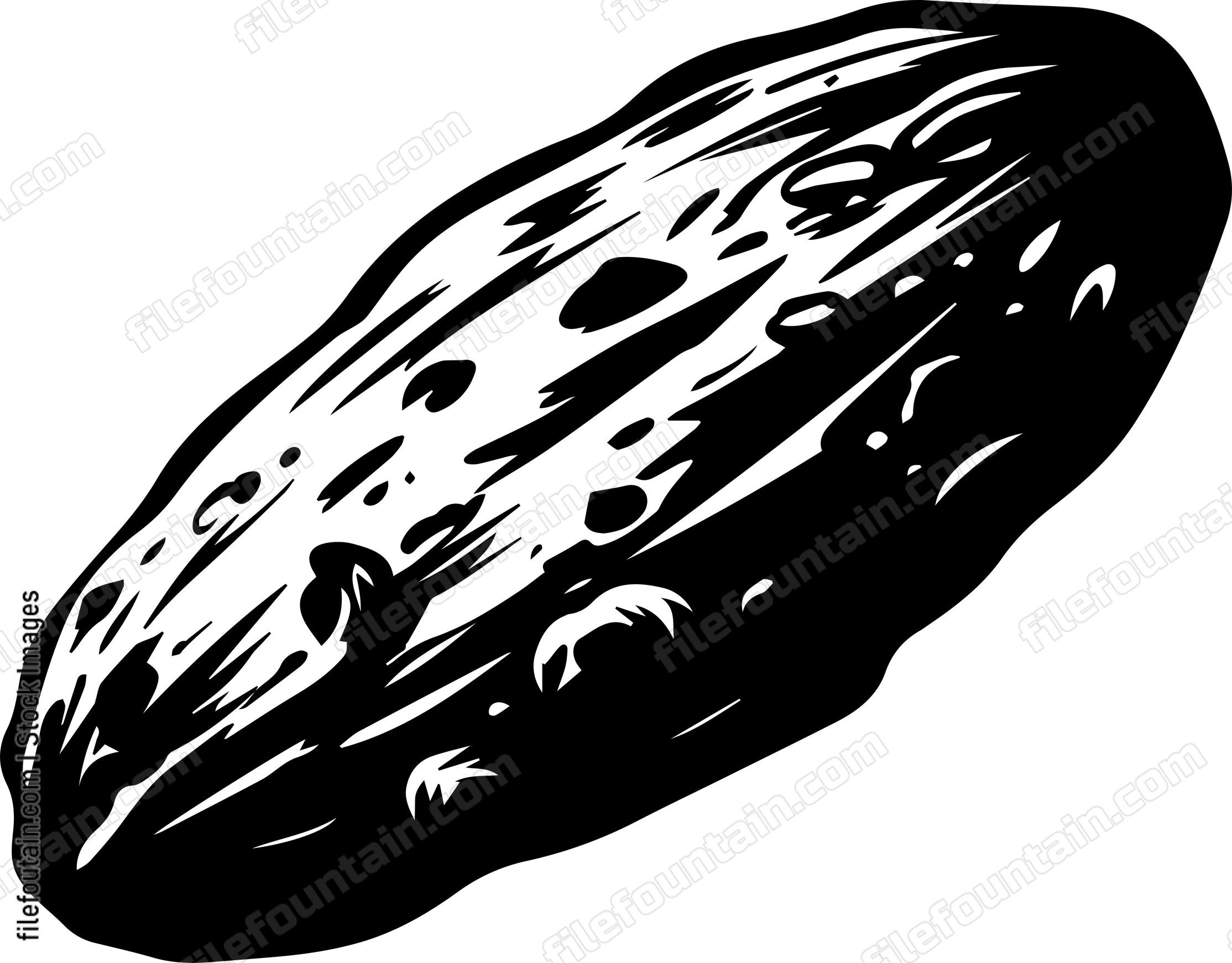Comet Asteroid