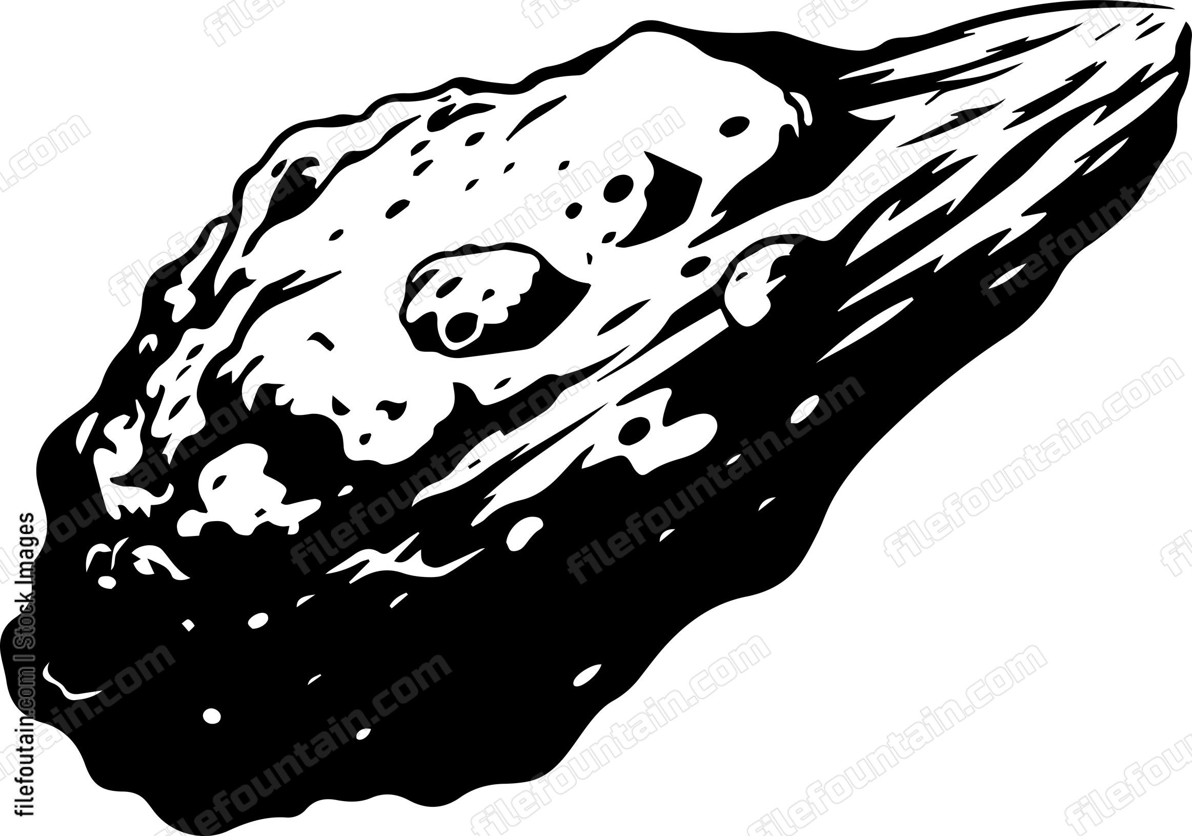 Comet Asteroid