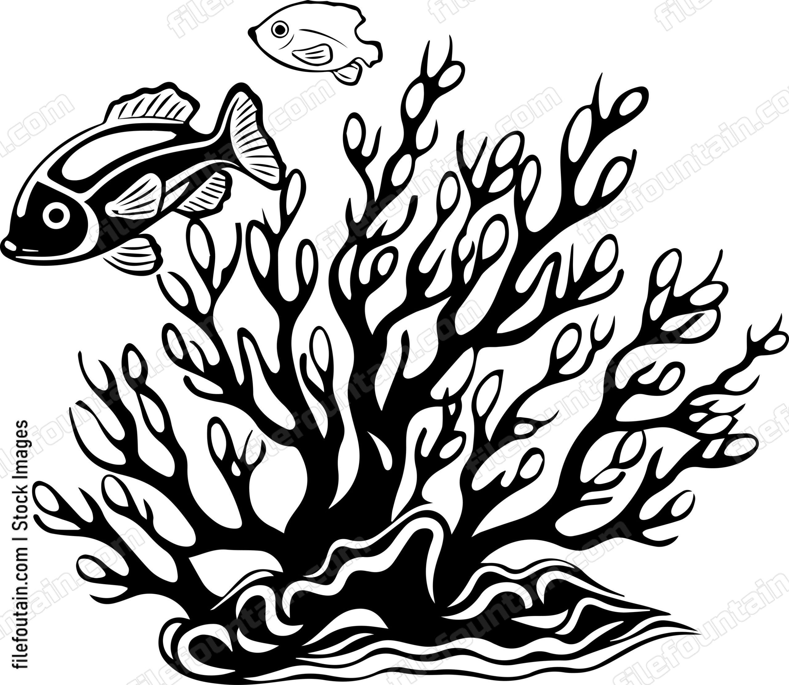 Coral Reefs