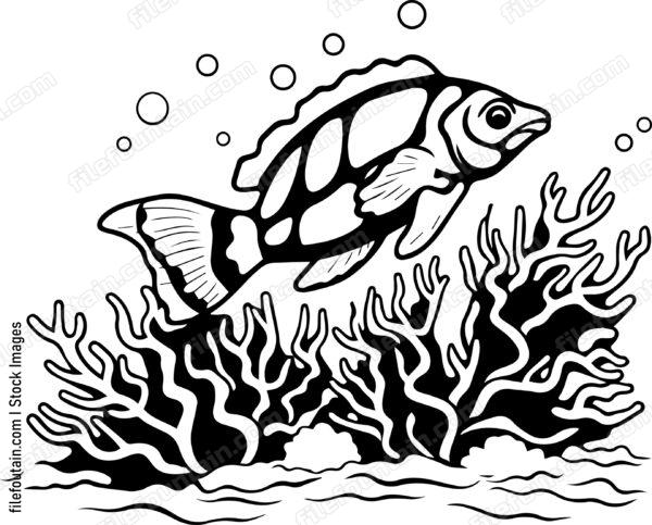 Coral Reefs
