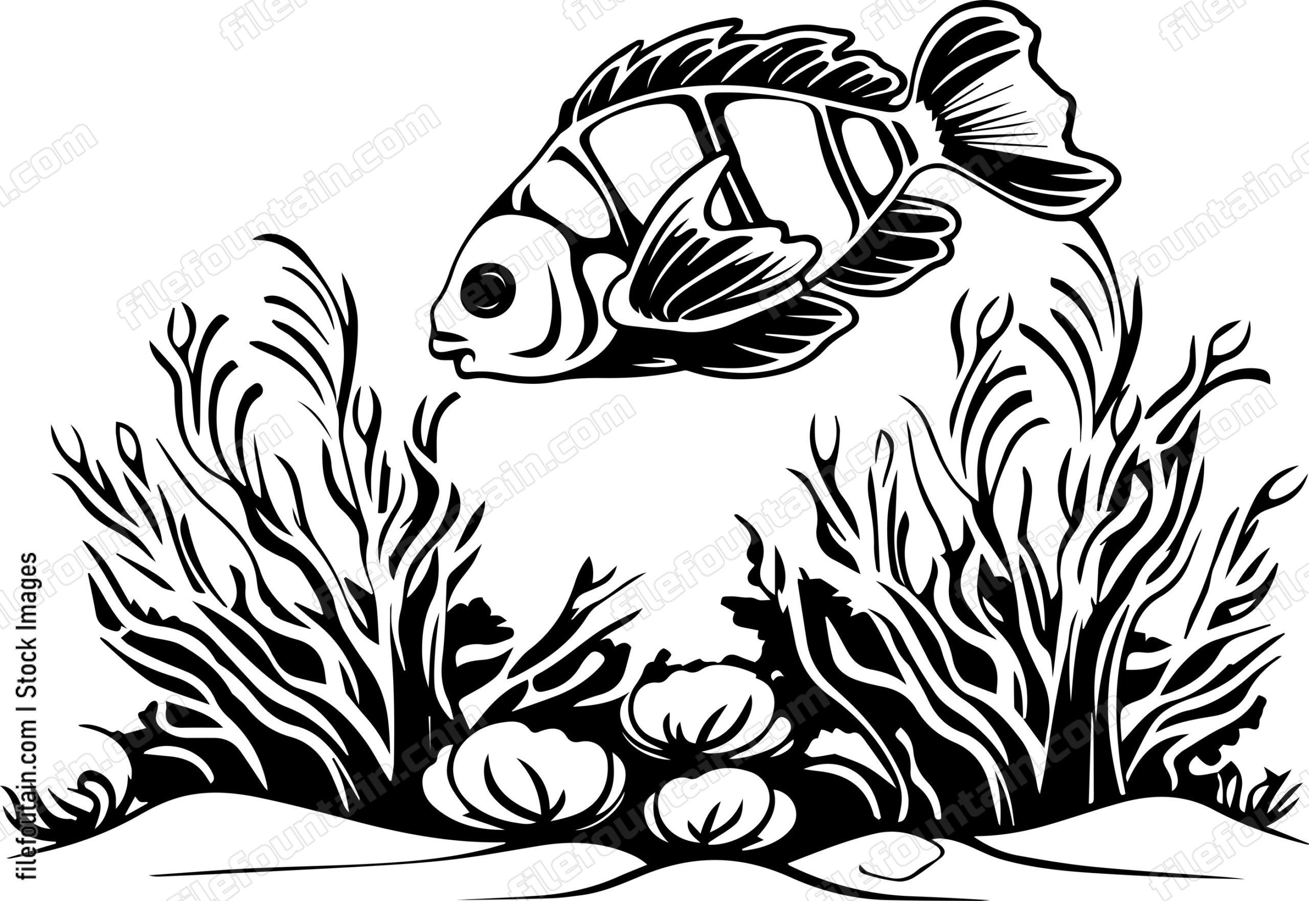 Coral Reefs