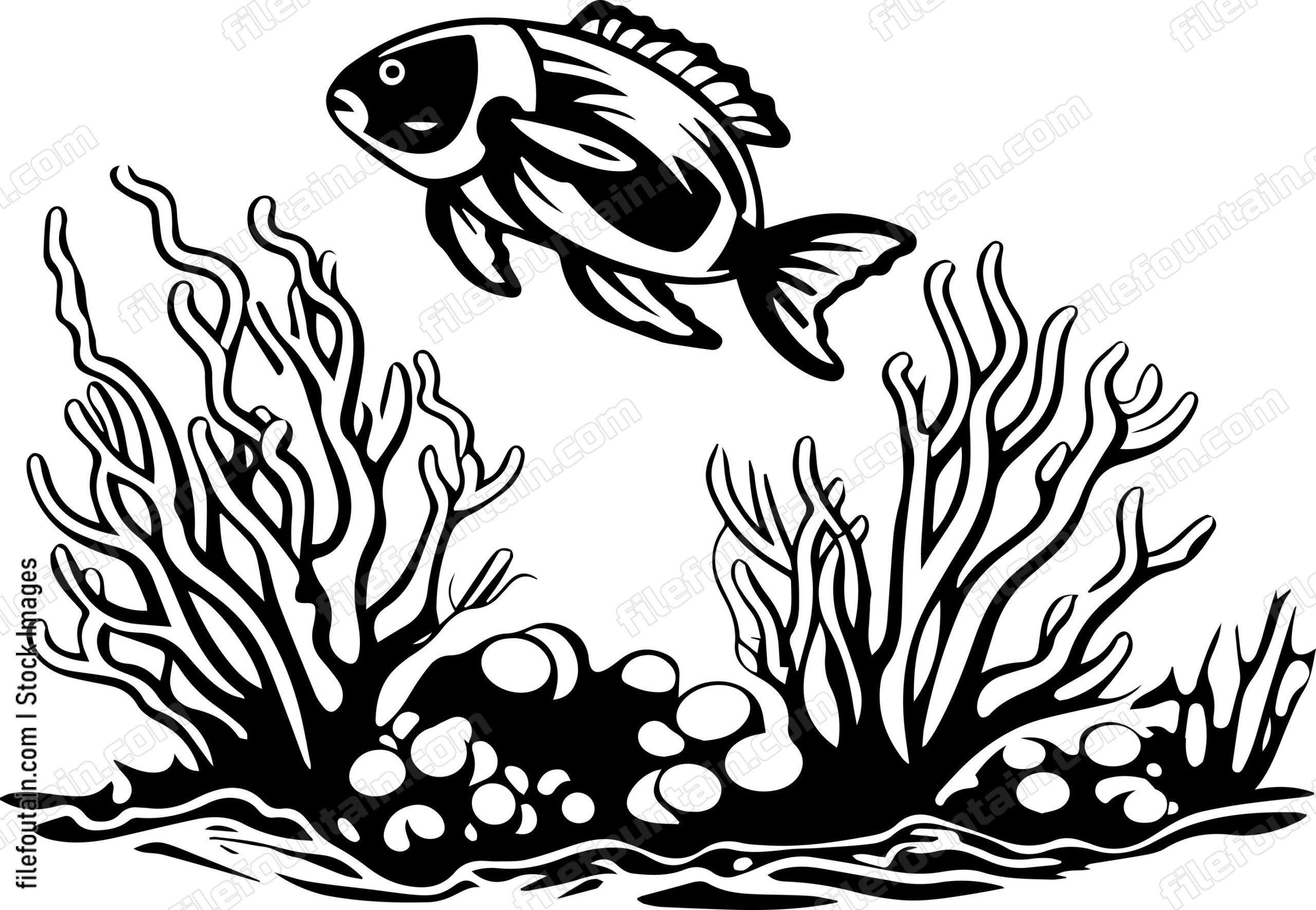 Coral Reefs