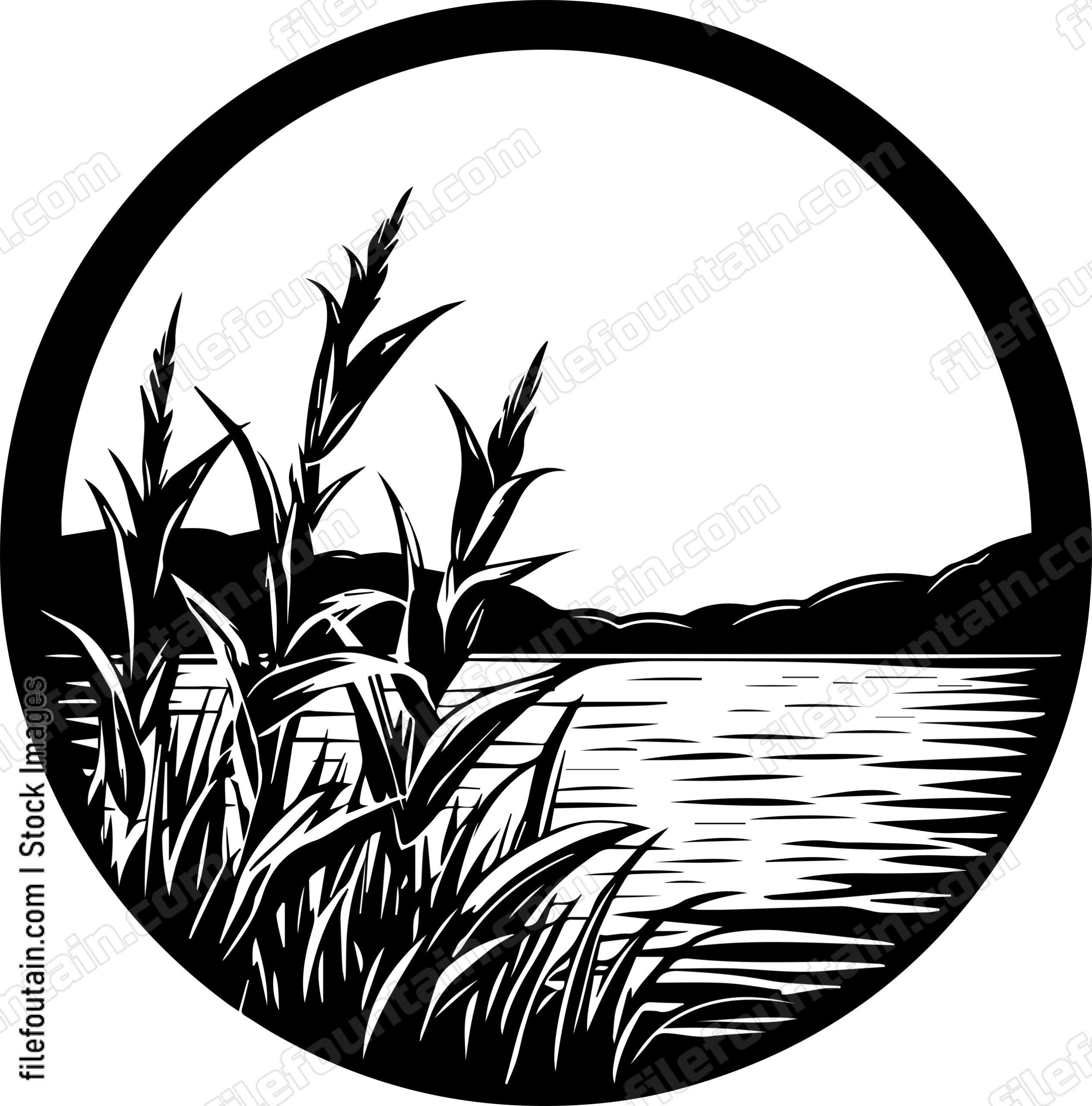 Corn Field