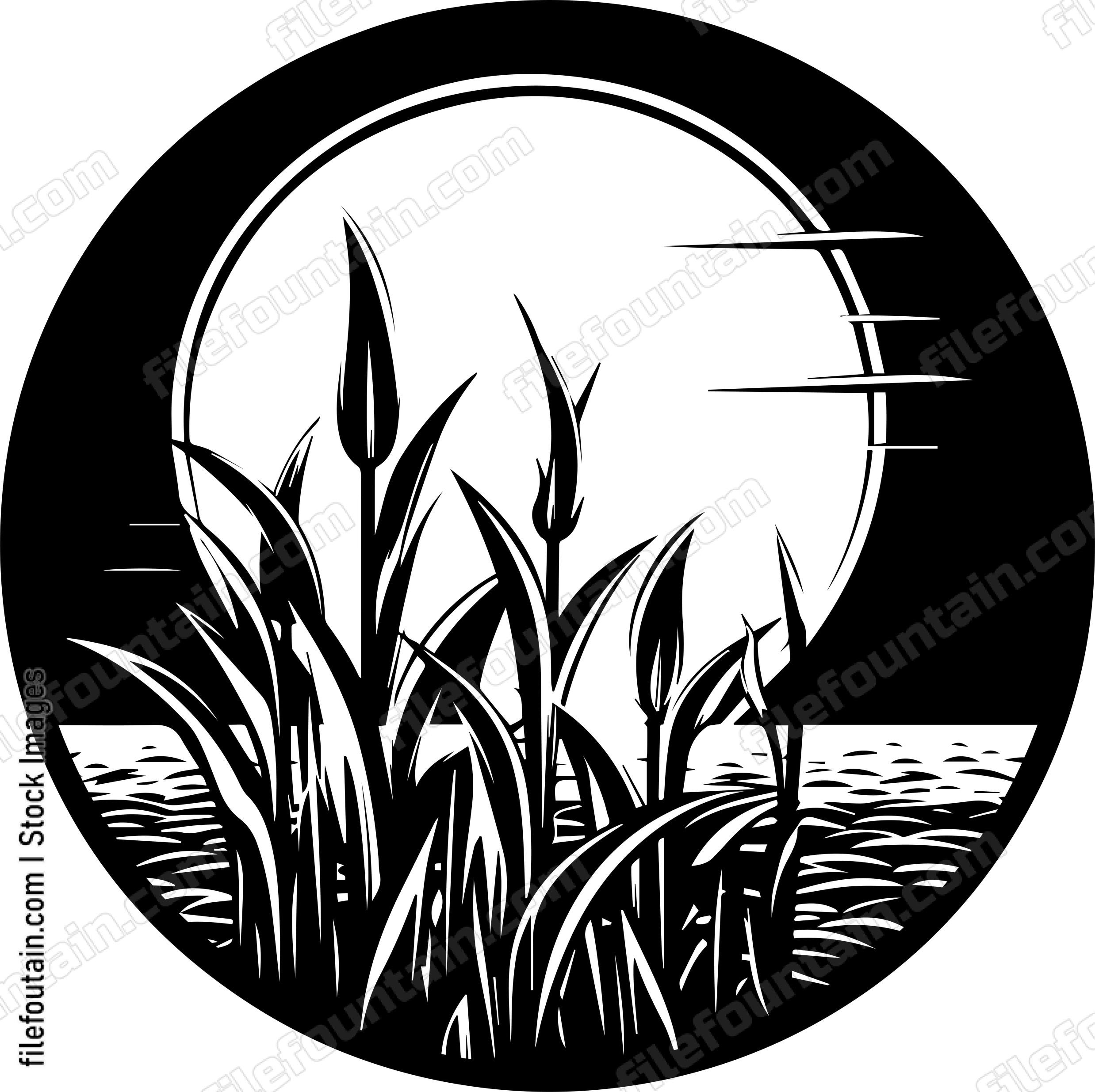 Corn Field Full Moon