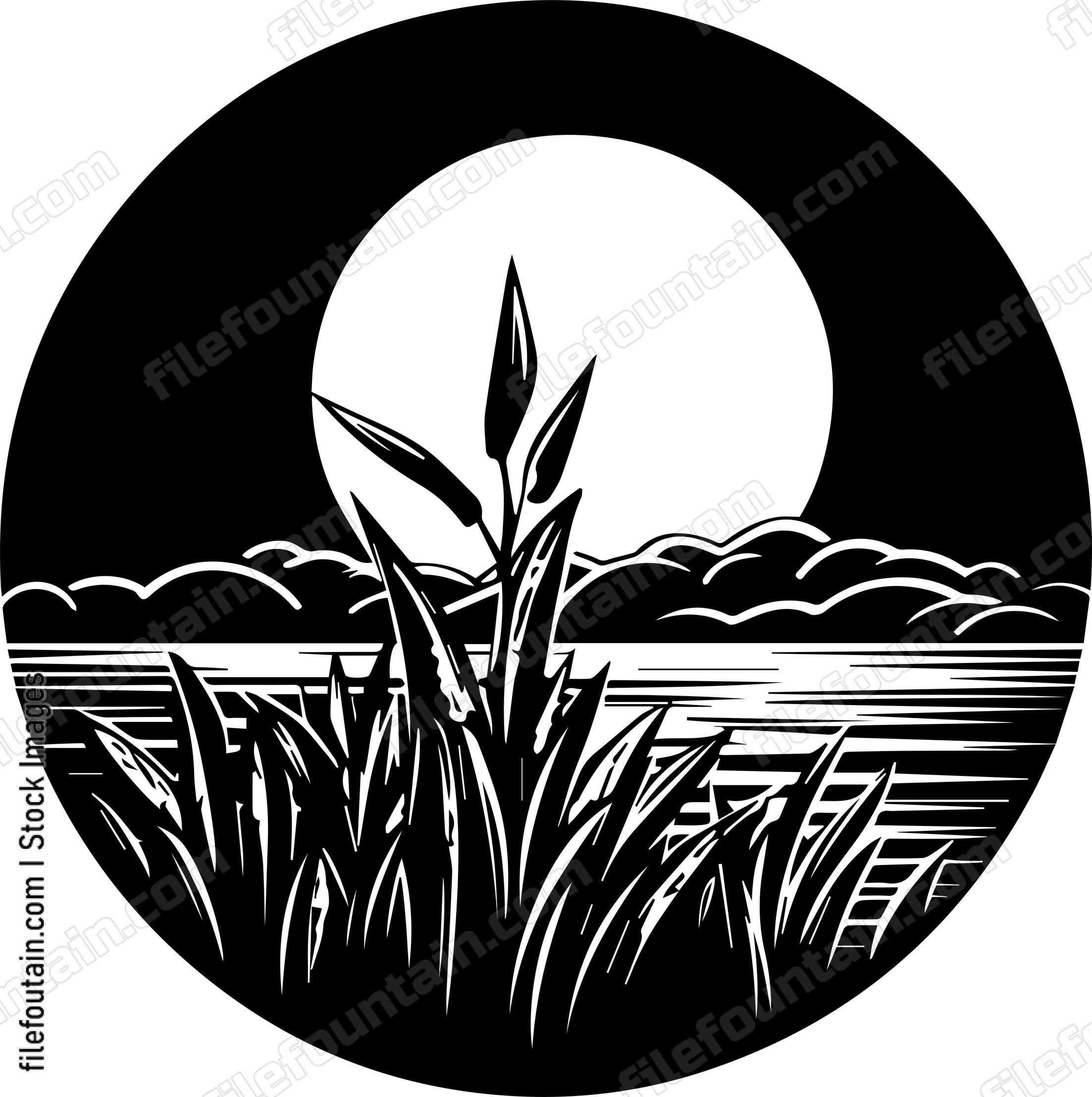 Corn Field Full Moon