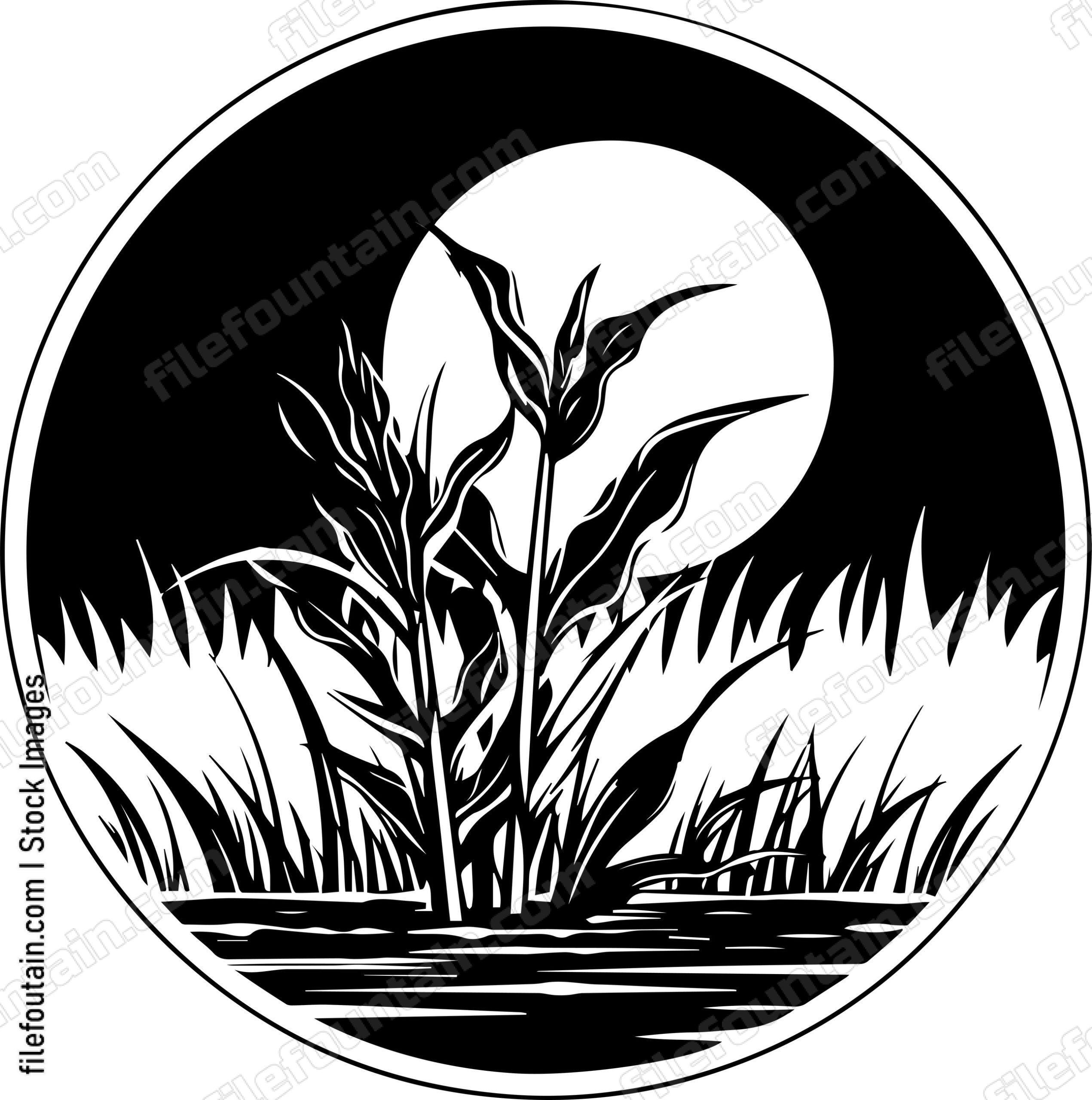 Corn Field Full Moon