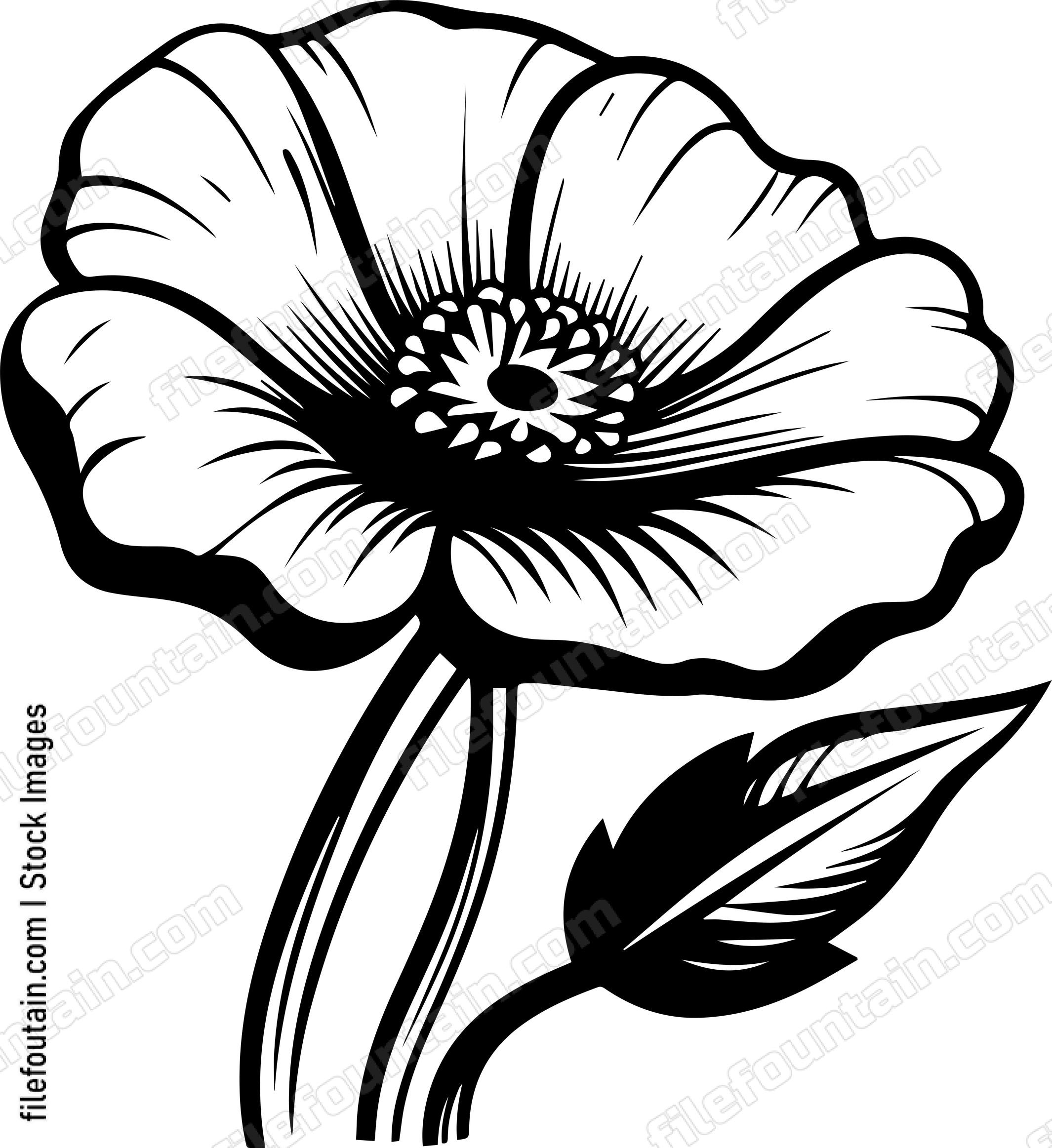 Cotton Flower