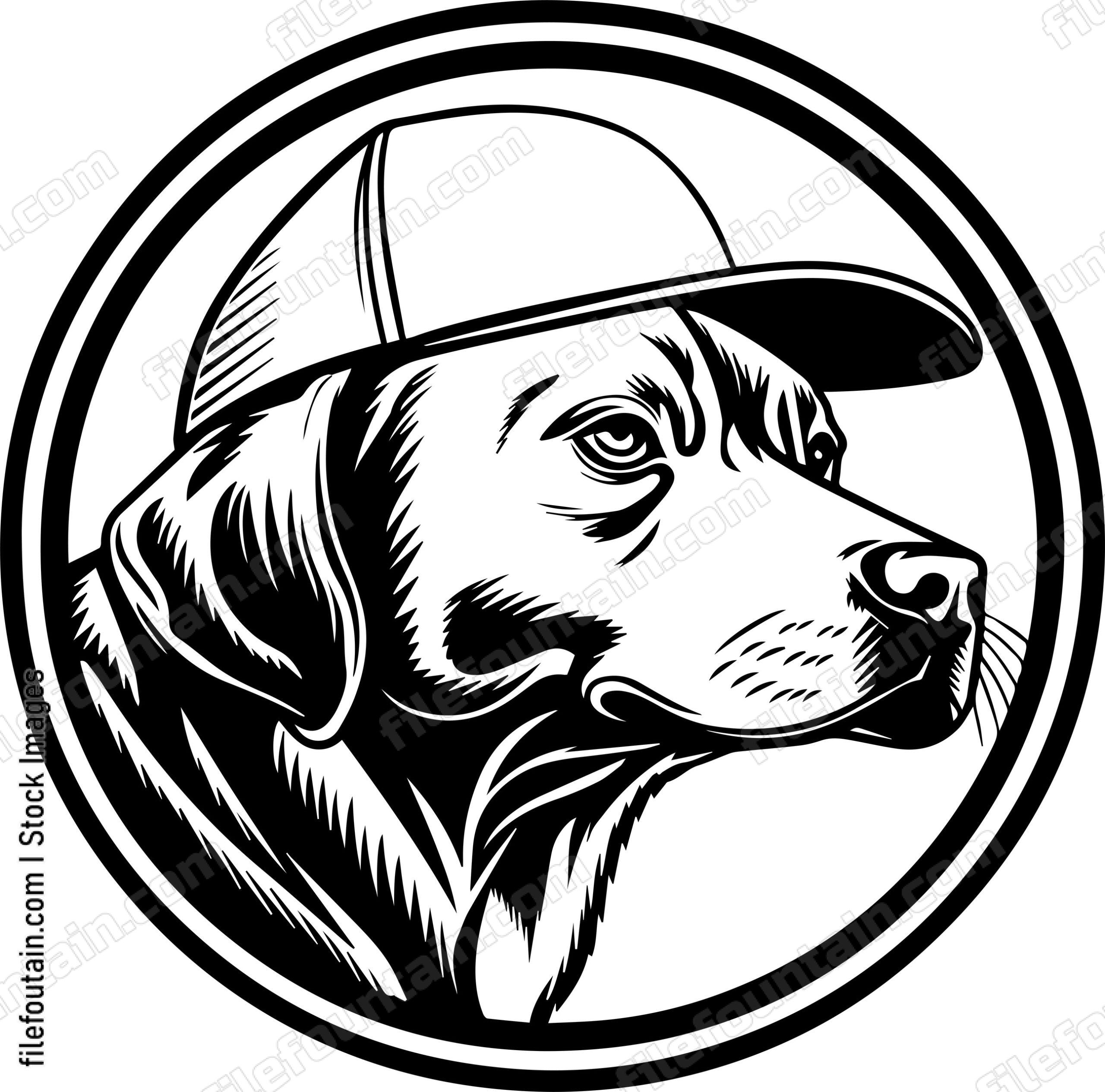 Dog In Baseball Cap
