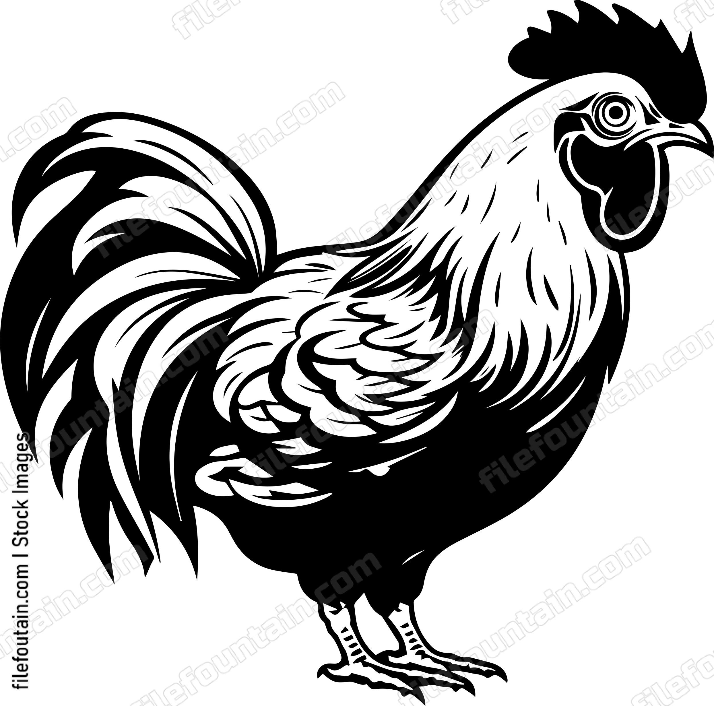 Farm Chicken