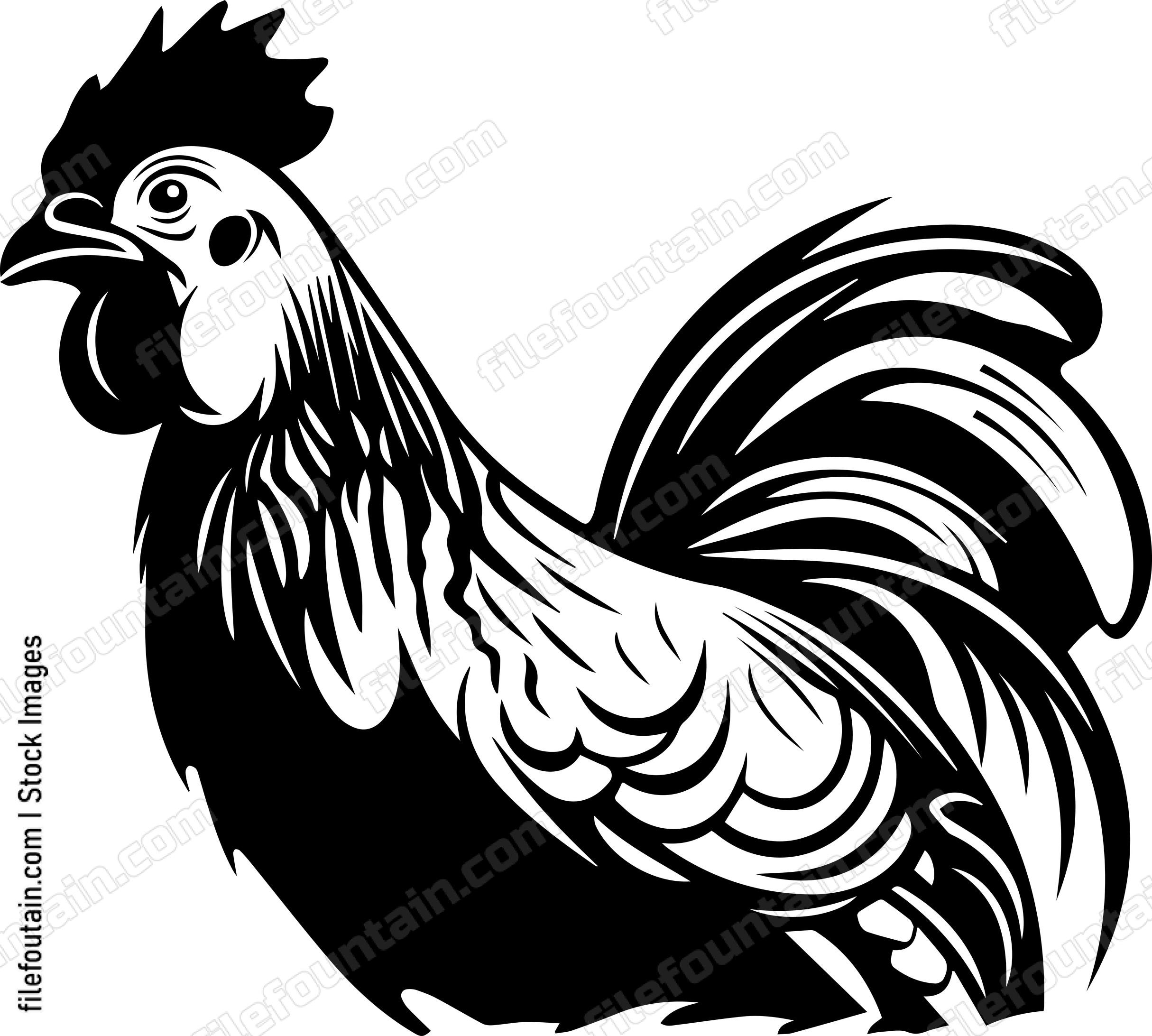 Farm Chicken
