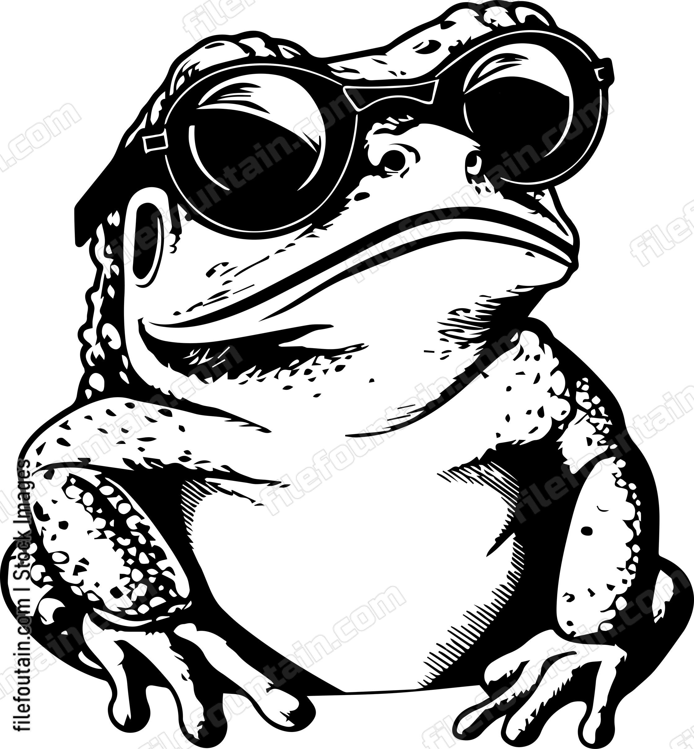 Frog In Sunglasses