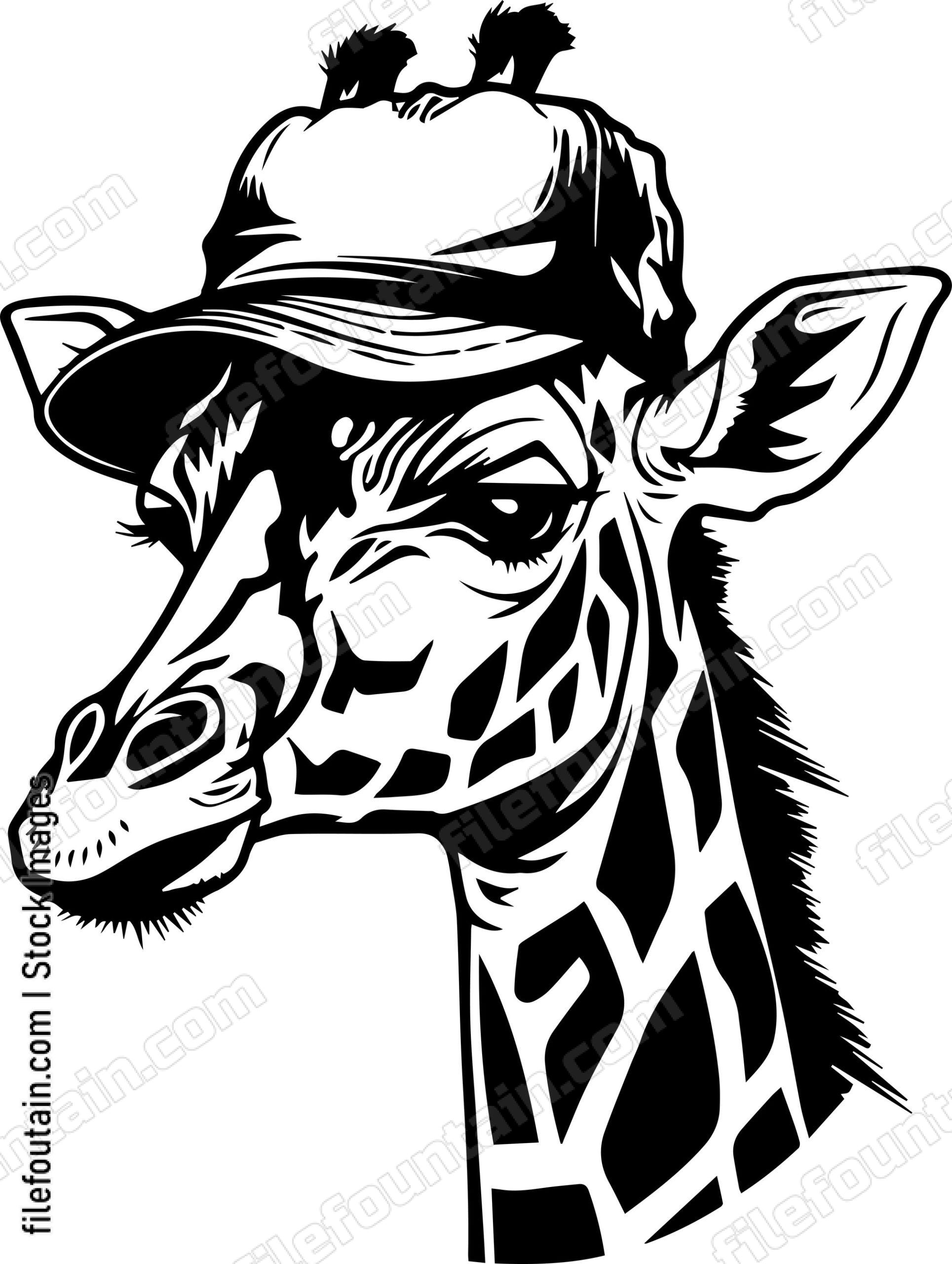Giraffe In Baseball Cap