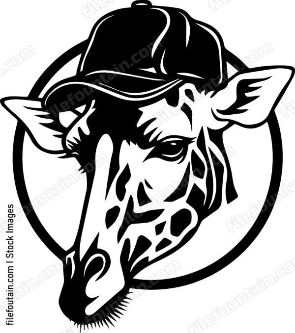Giraffe In Baseball Cap