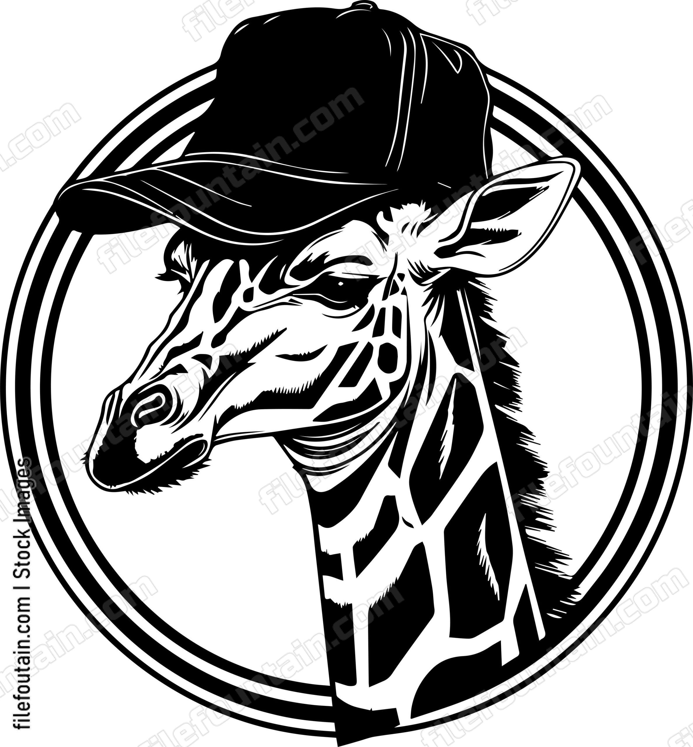 Giraffe In Baseball Cap