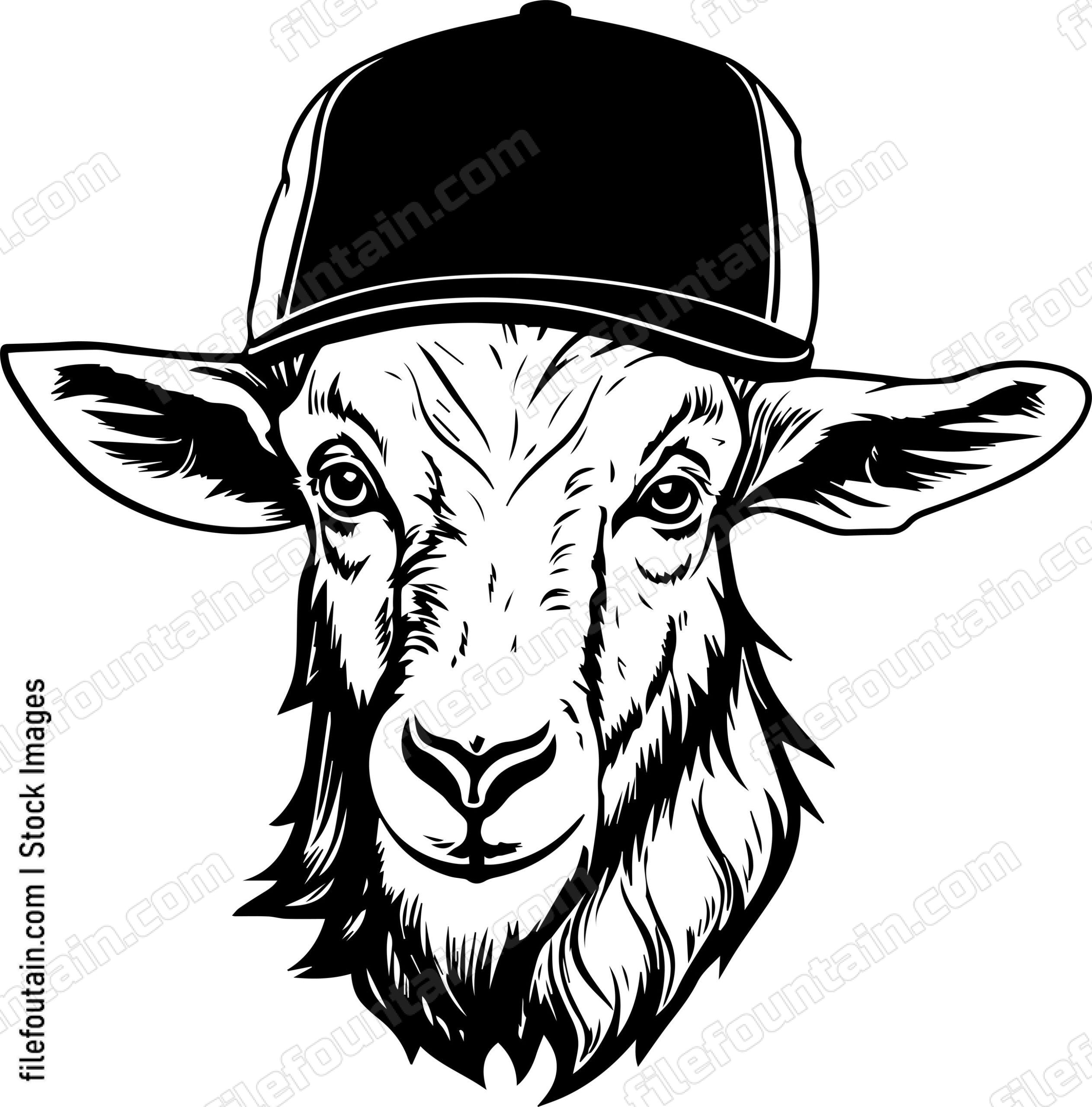 Goat In Baseball Cap