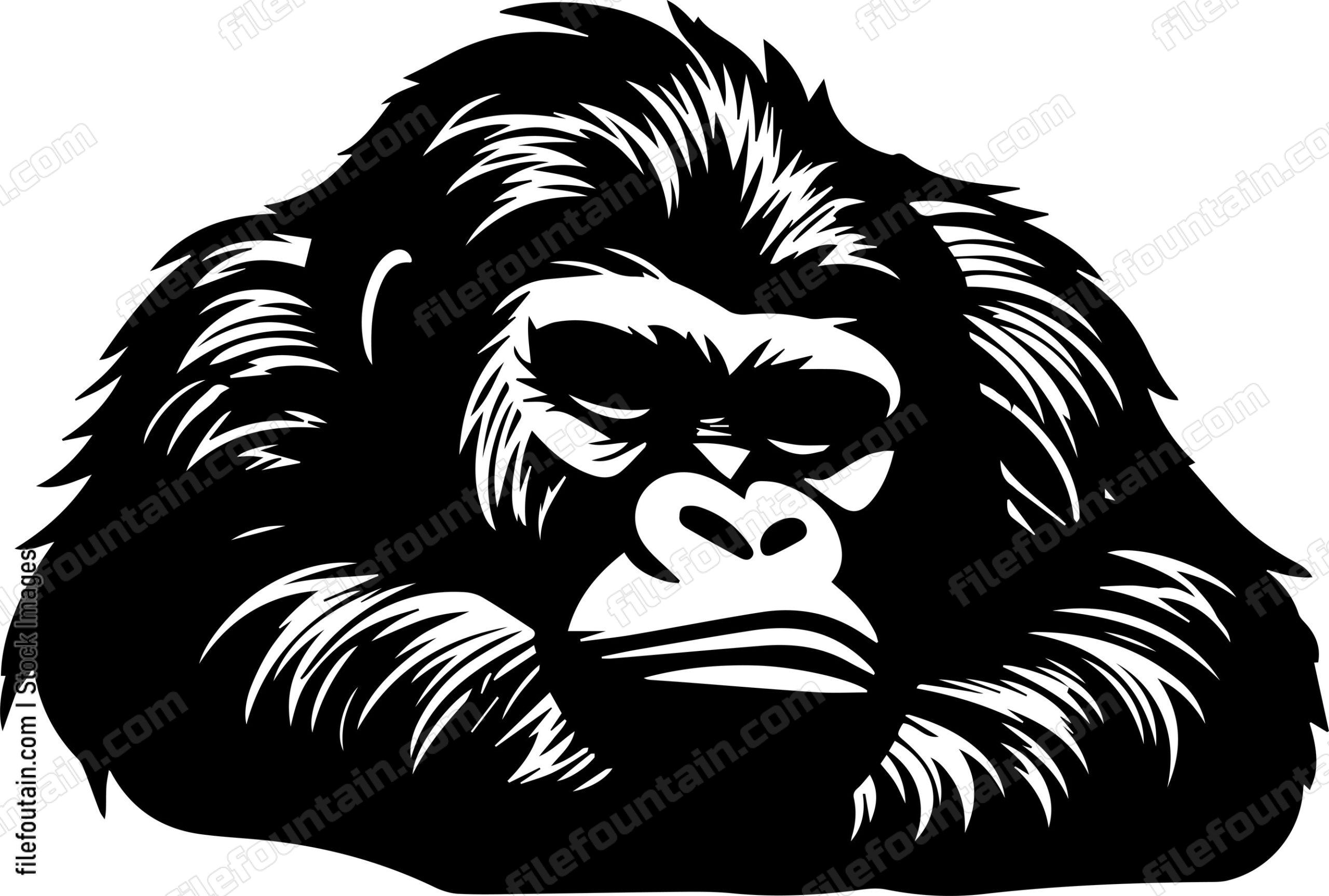 Gorilla Sleeping