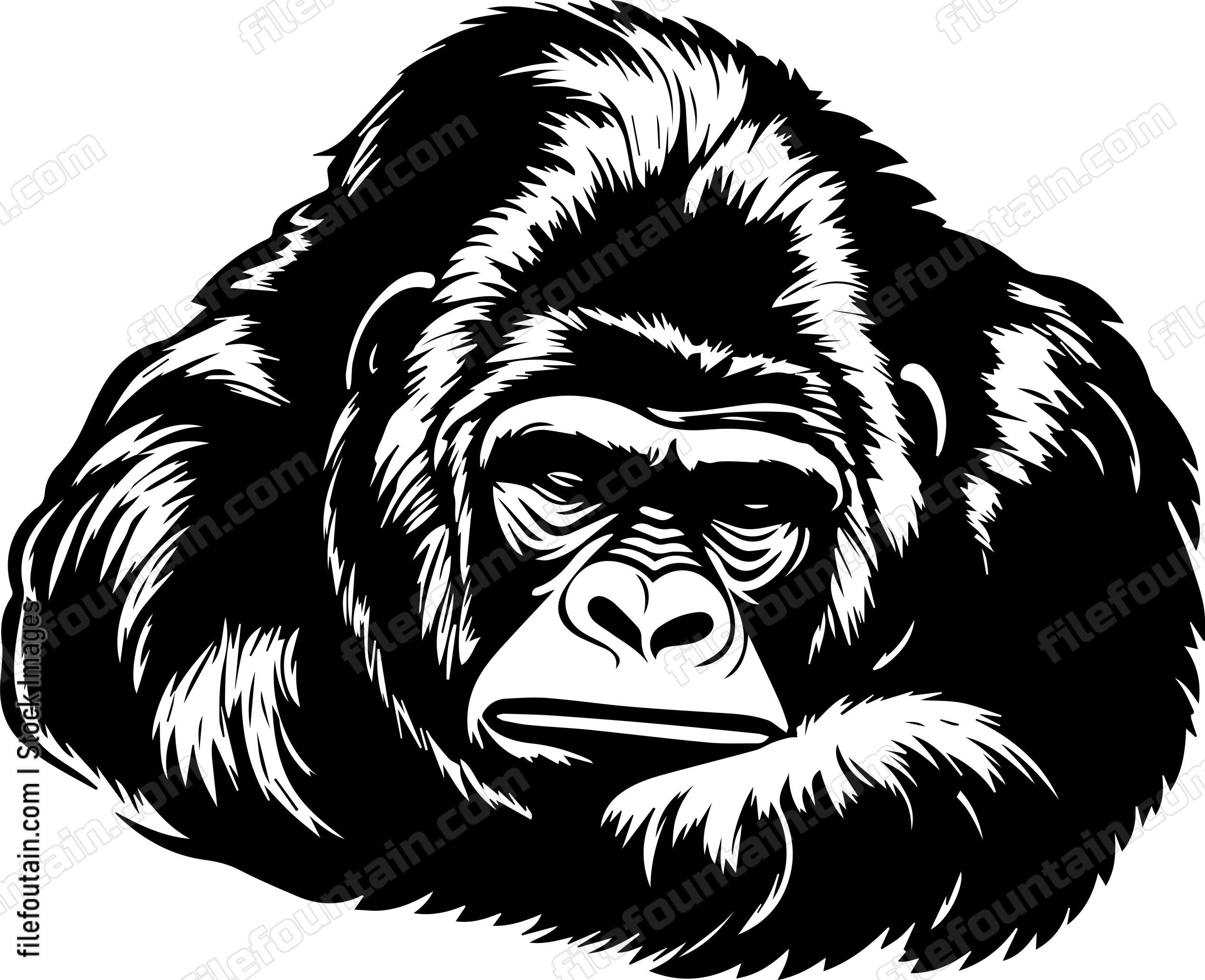 Gorilla Sleeping