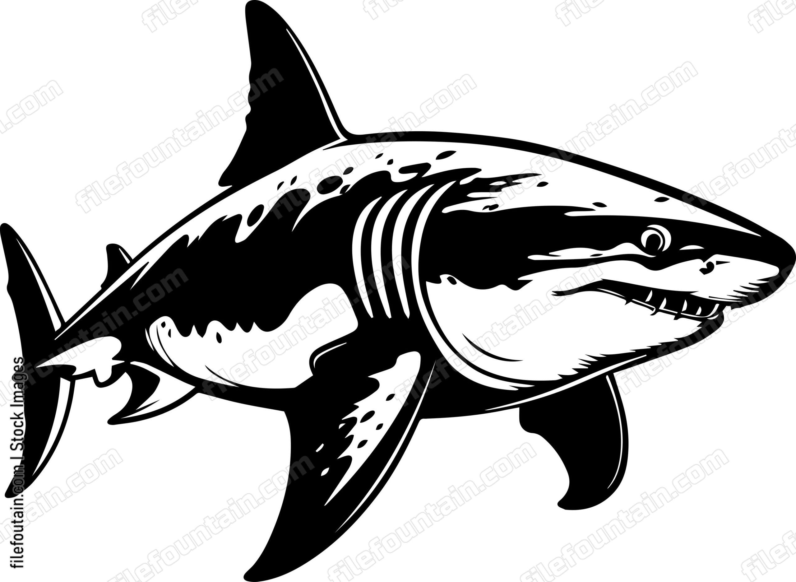 Great White Shark