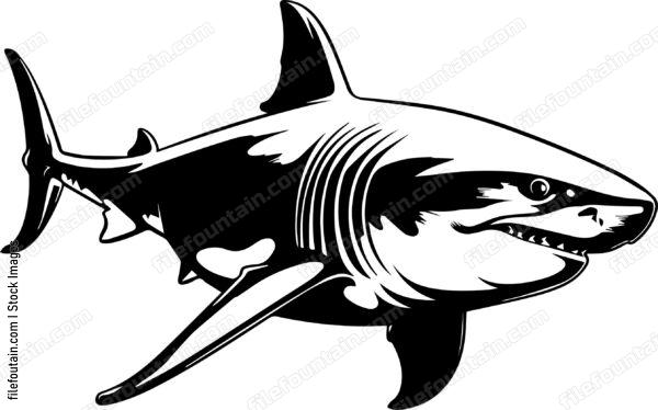 Great White Shark