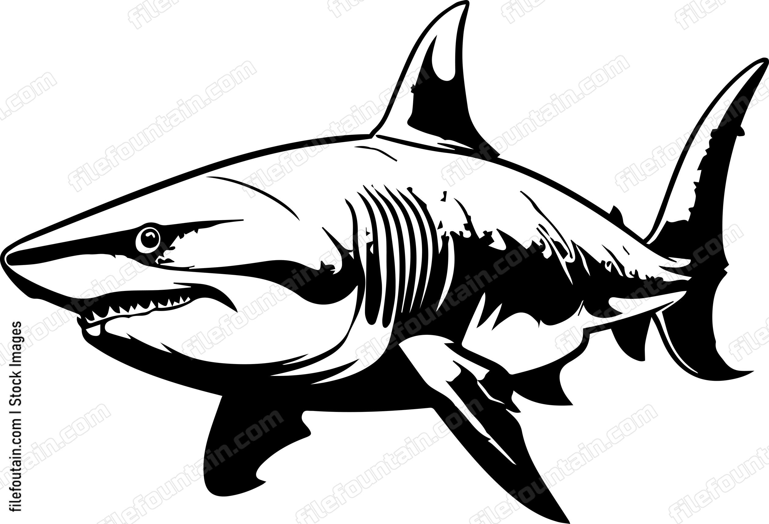 Great White Shark