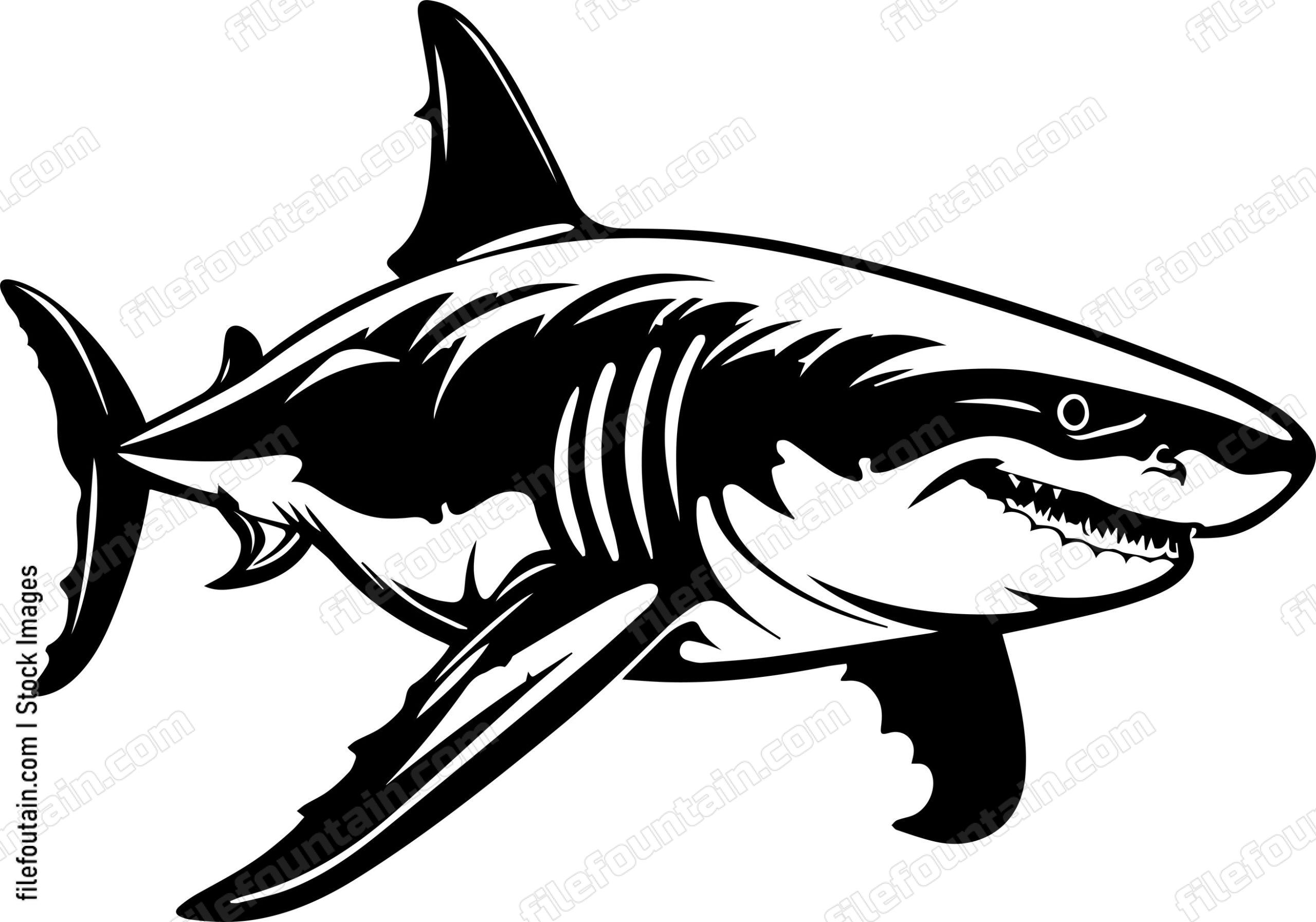 Great White Shark