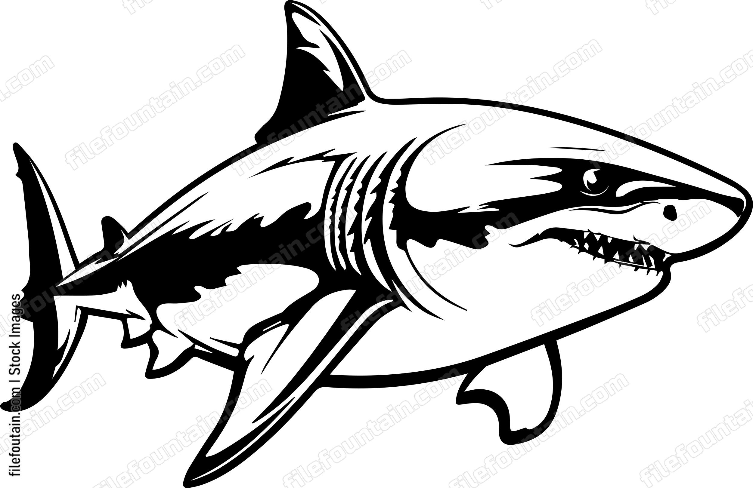 Great White Shark