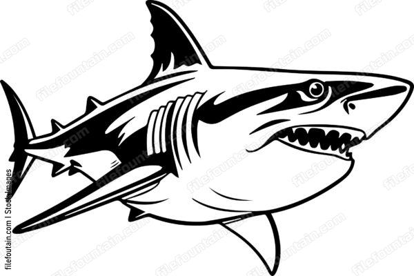 Great White Shark