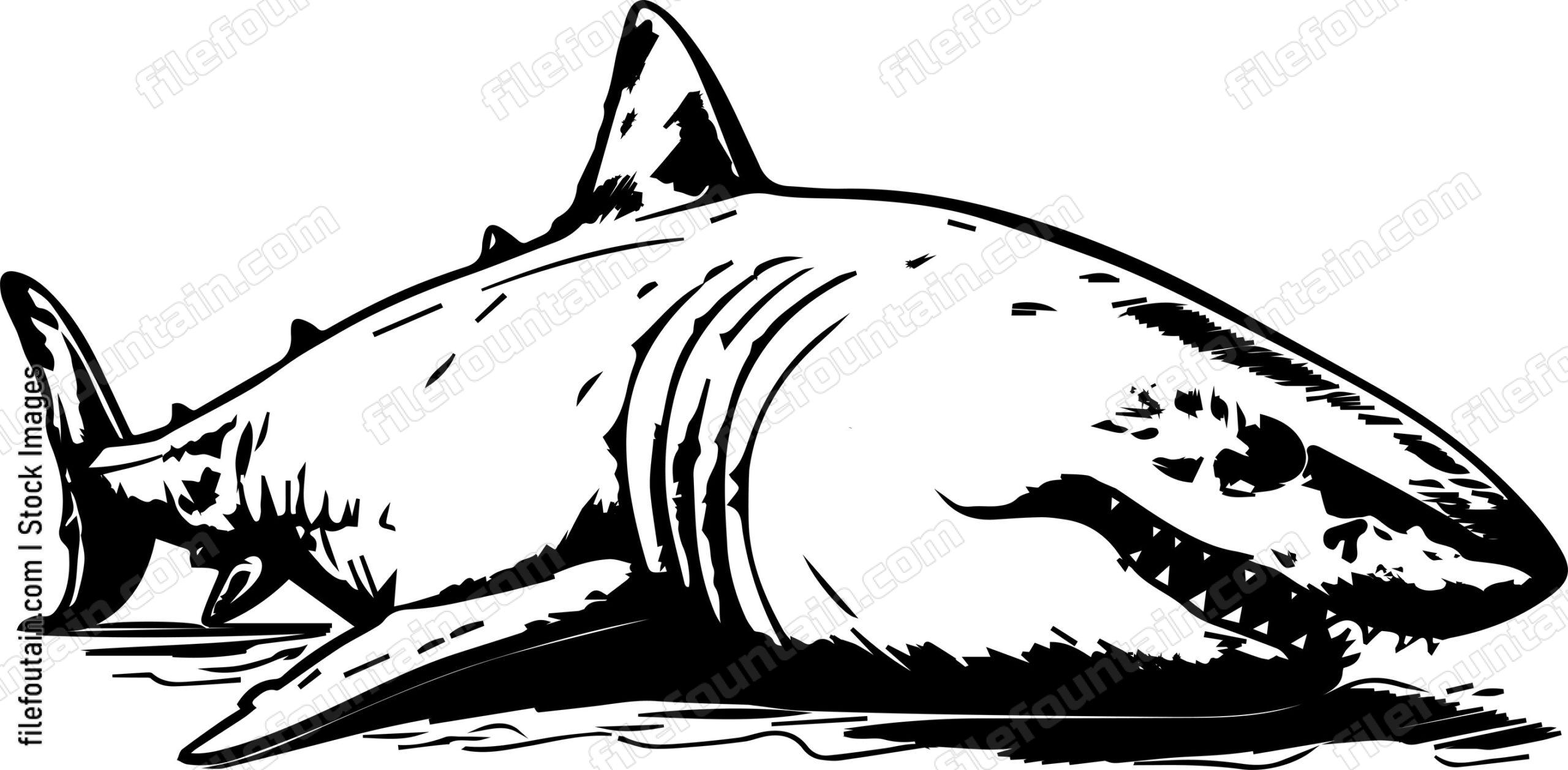 Great White Shark Sleeping