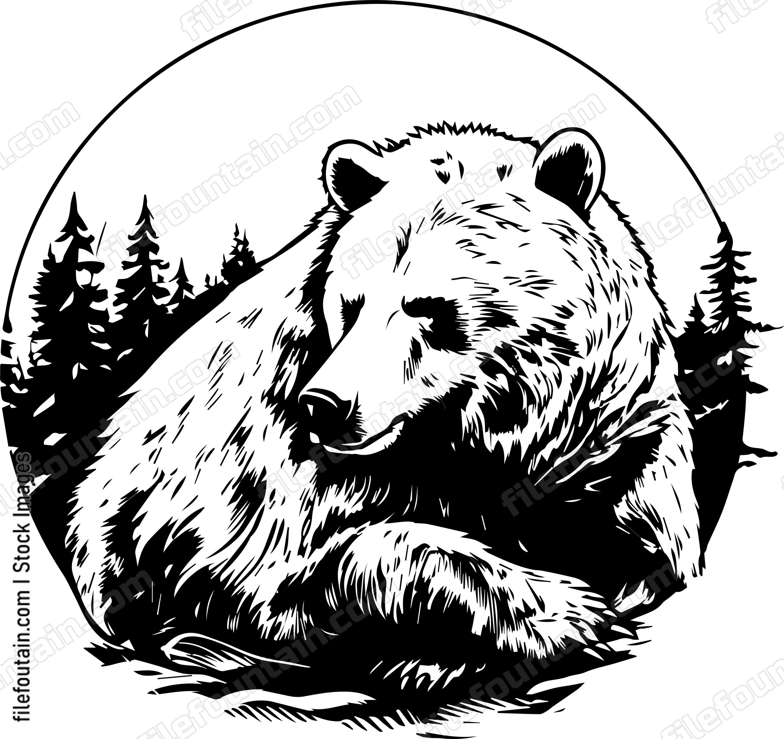 Grizzly Bear