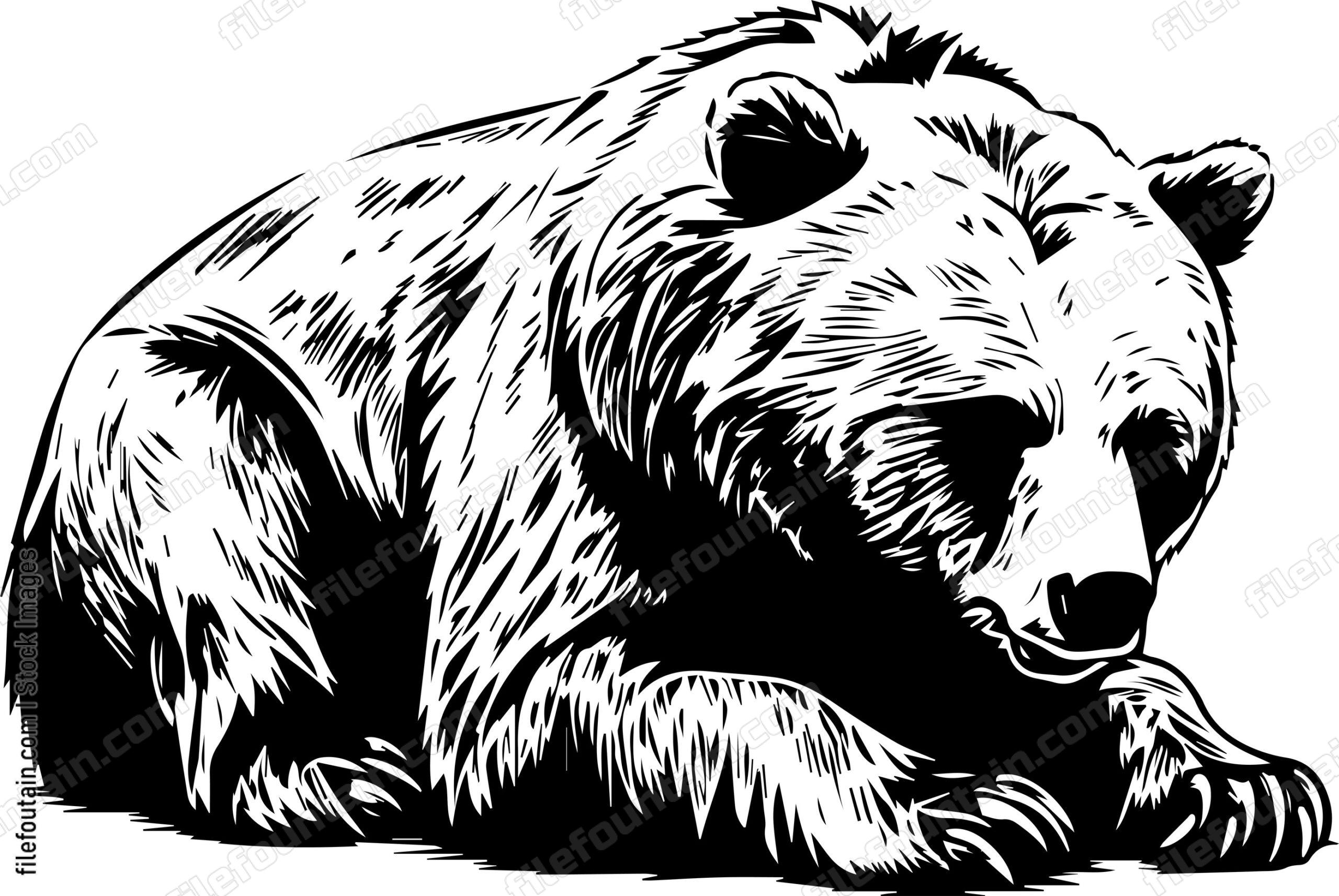 Grizzly Bear